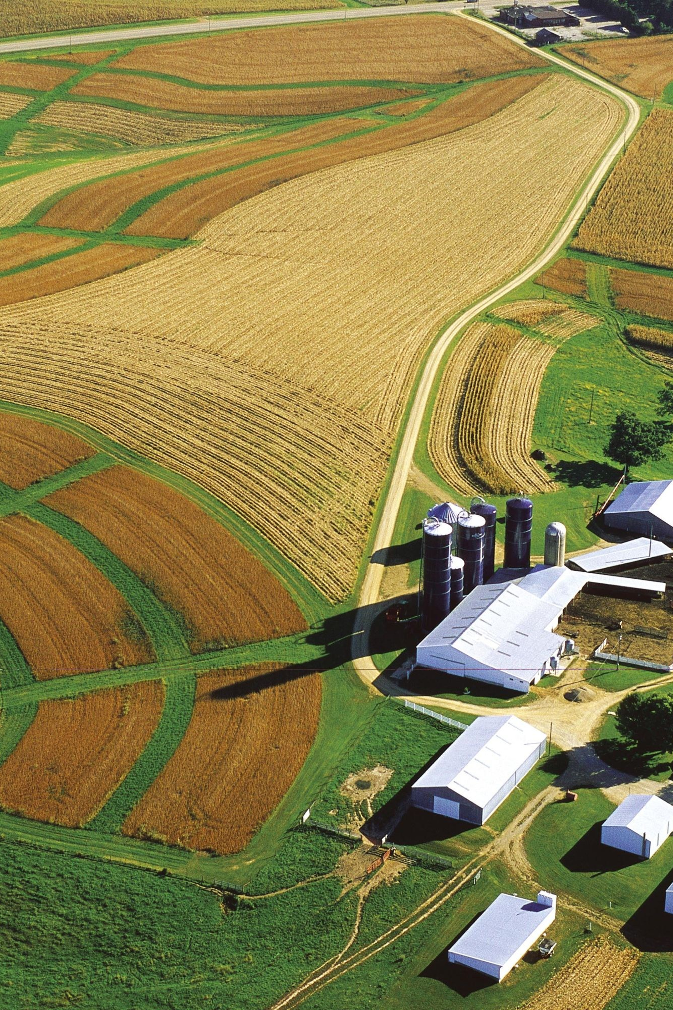 НОВОСТИ недвижимости Алтая. Банк земельных участков Алтая