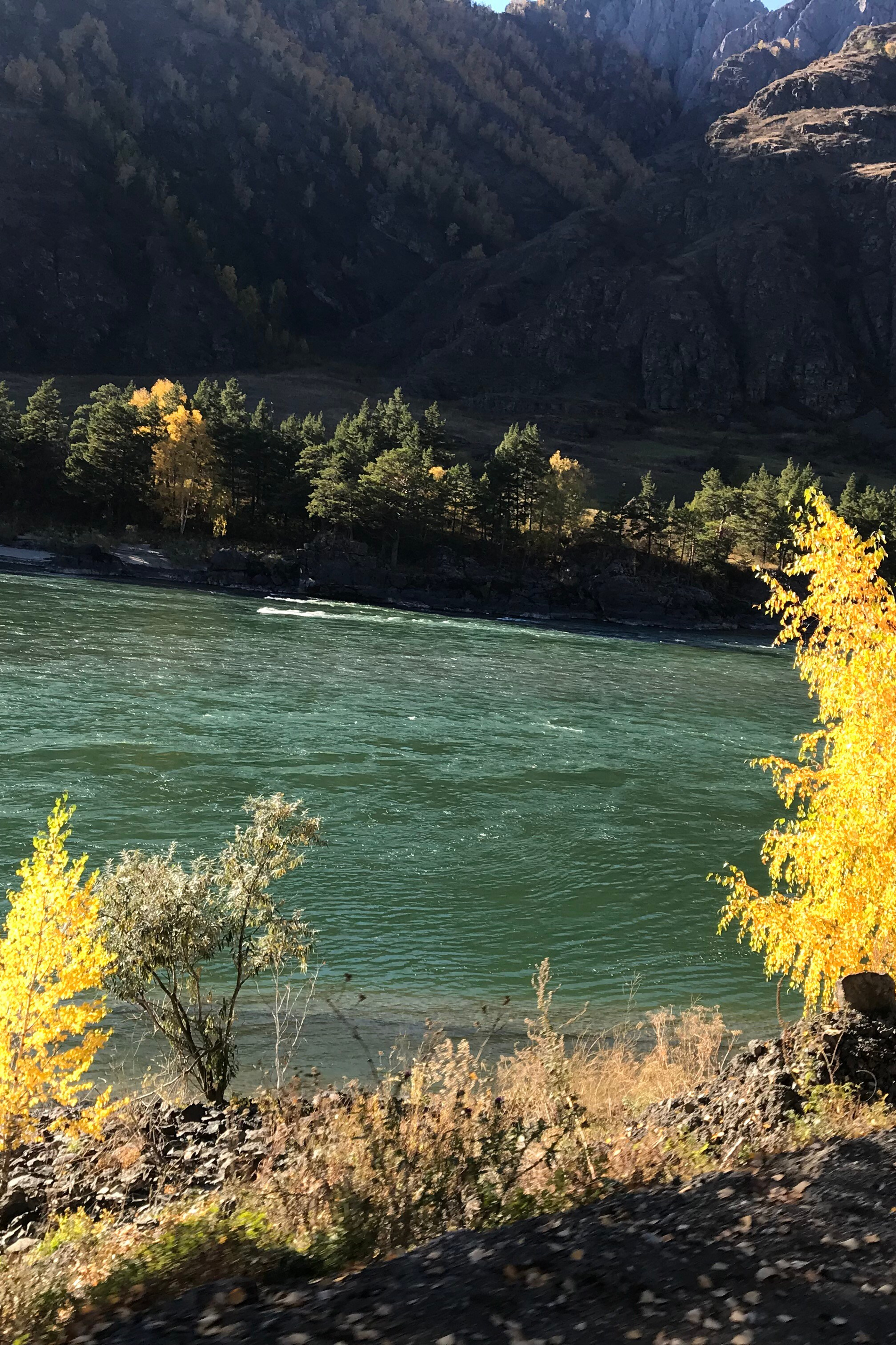 НОВОСТИ недвижимости Алтая. Банк земельных участков Алтая
