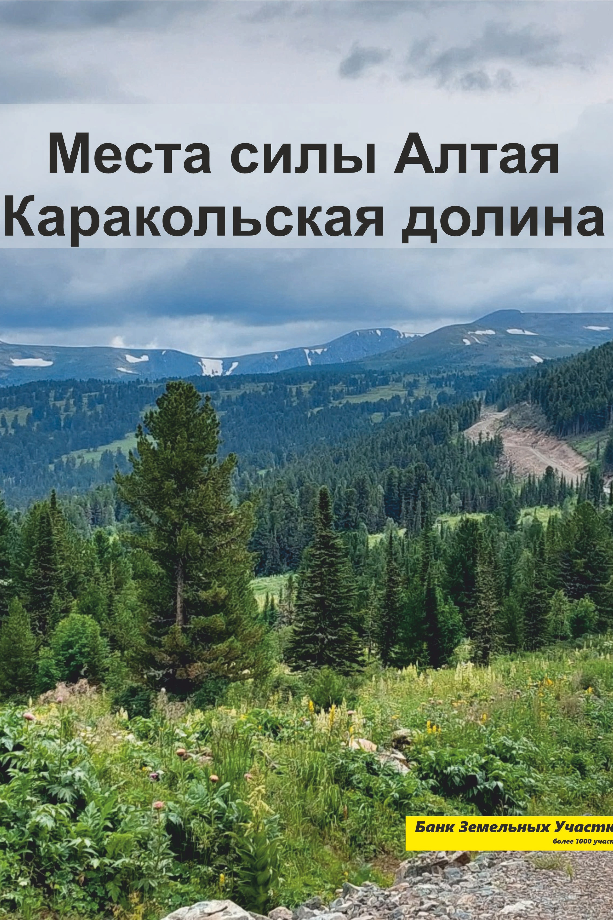 НОВОСТИ недвижимости Алтая. Банк земельных участков Алтая