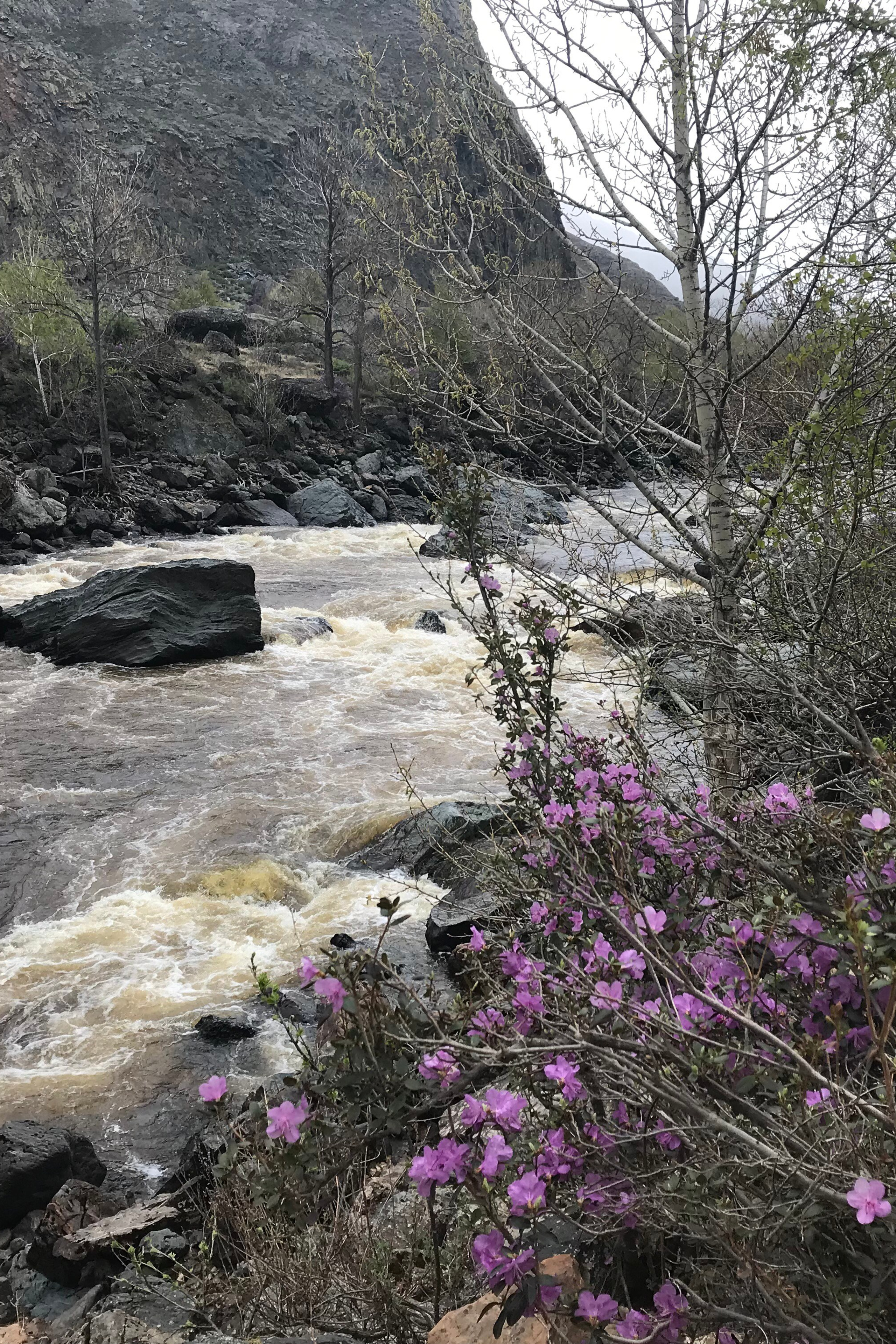 НОВОСТИ недвижимости Алтая. Банк земельных участков Алтая