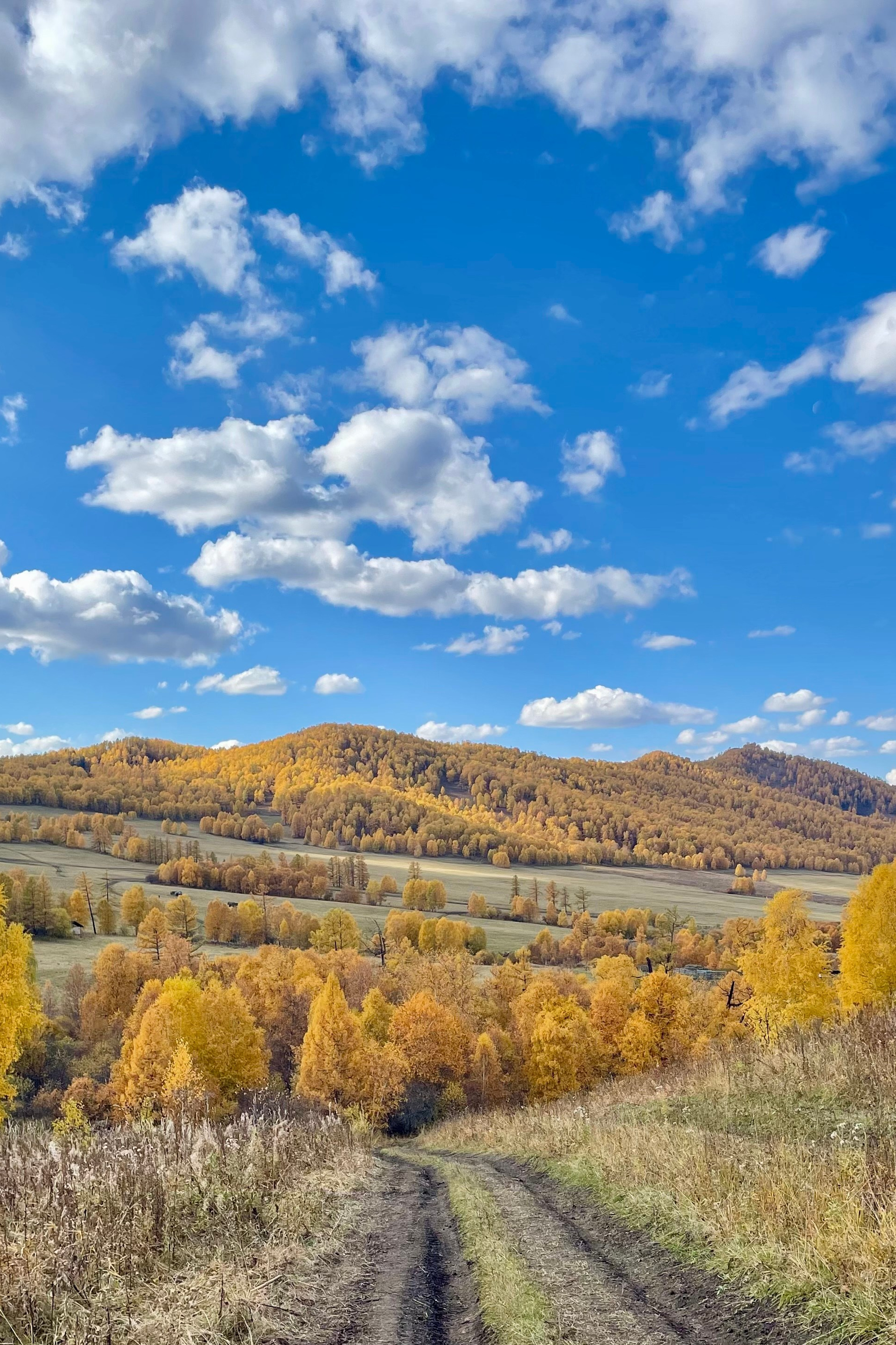 НОВОСТИ недвижимости Алтая. Банк земельных участков Алтая