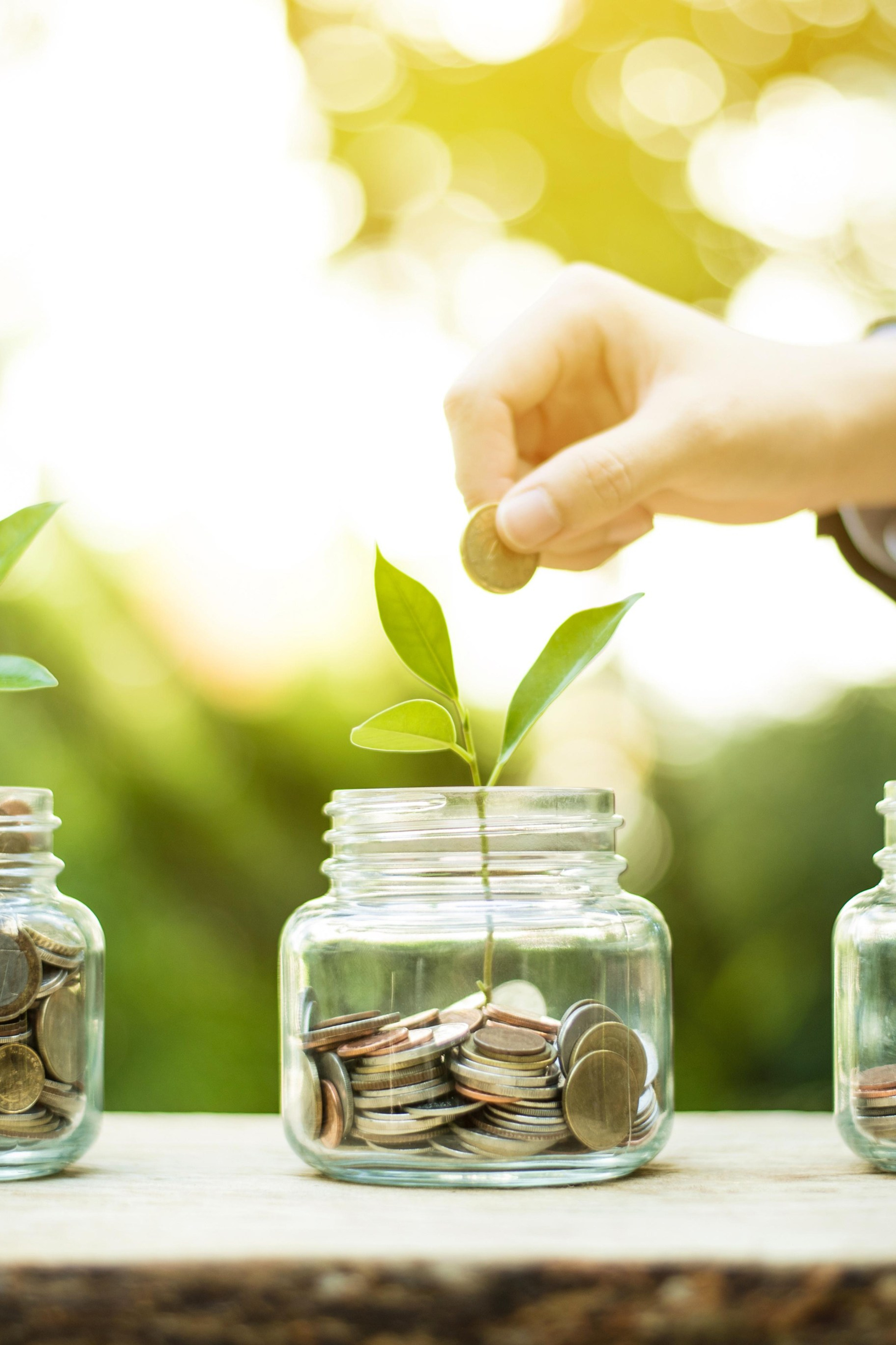 НОВОСТИ недвижимости Алтая. Банк земельных участков Алтая