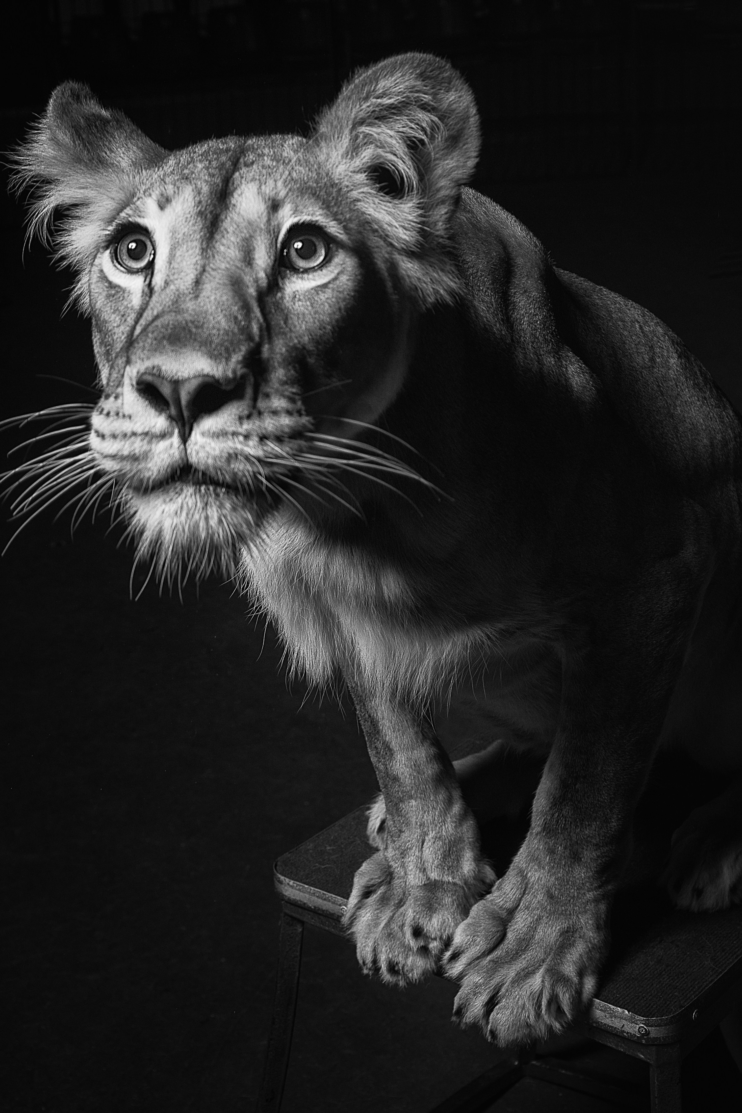 Портфолио. Антон Тимошевский, профессиональный портретный фотограф в Москве и Орле