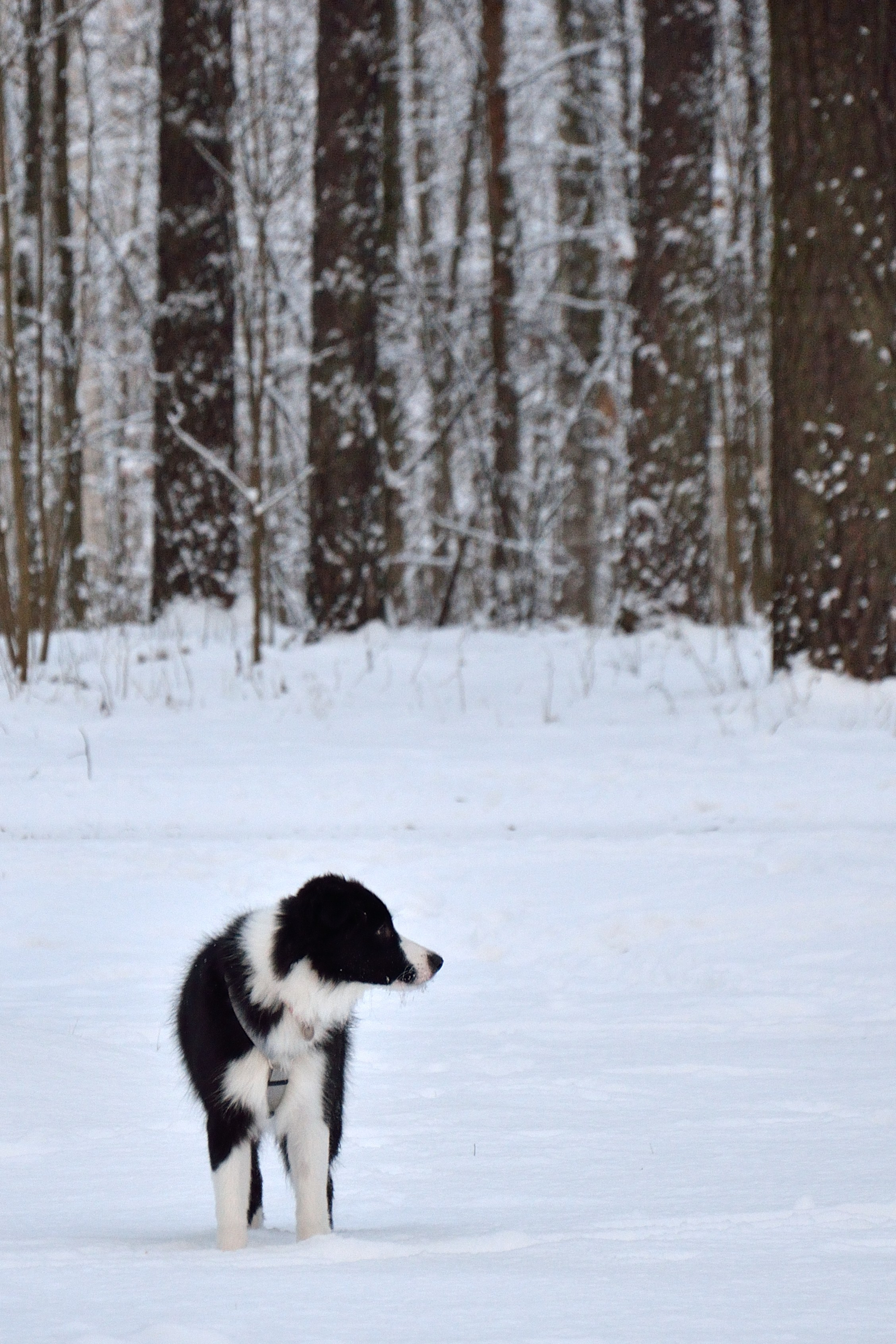 Истории. Добро пожаловать на мой сайт, меня зовут Наталия, я фотограф