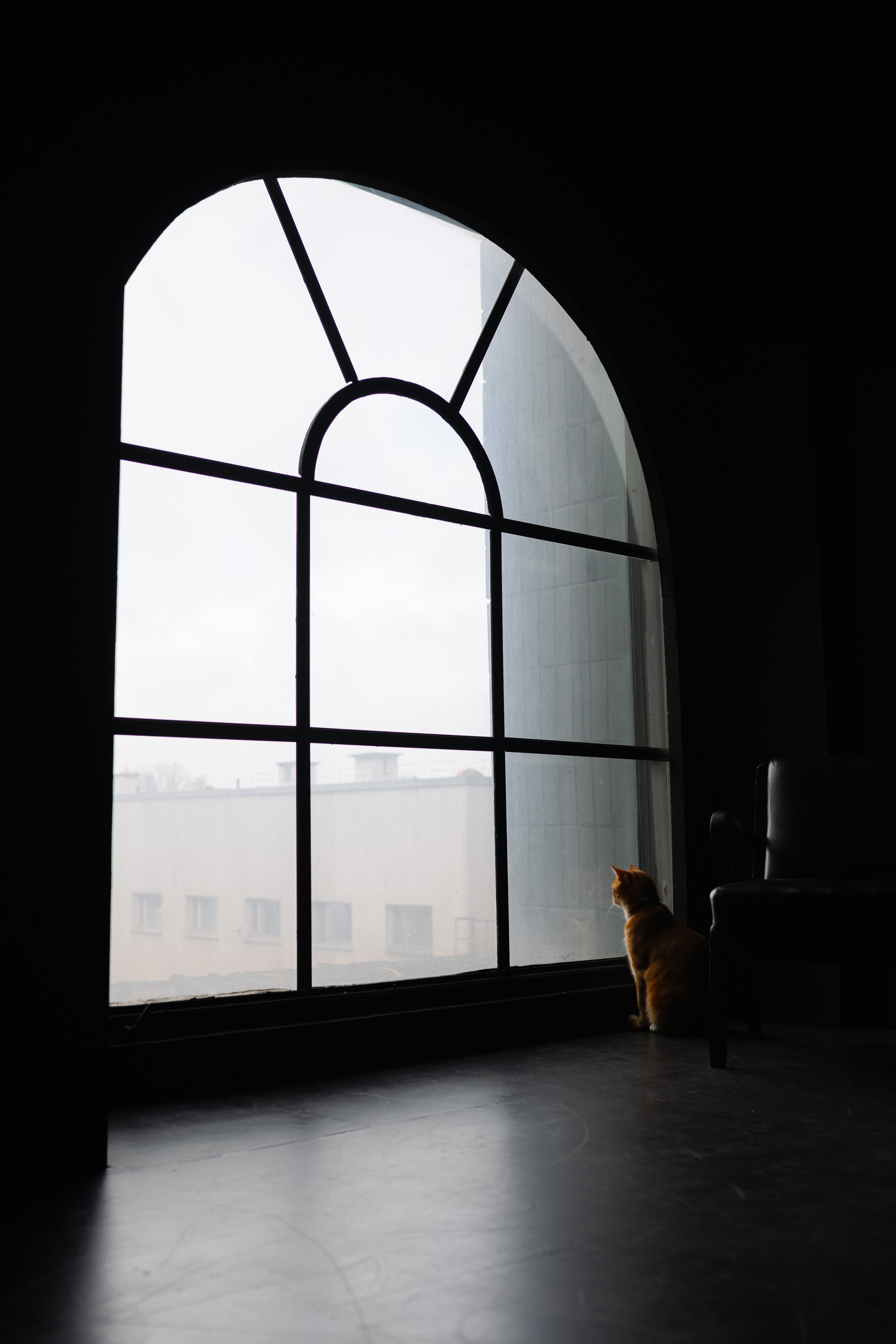 Полезные статьи. Свадебный фотограф в Минске/Беларуси Сергей Спиридонов