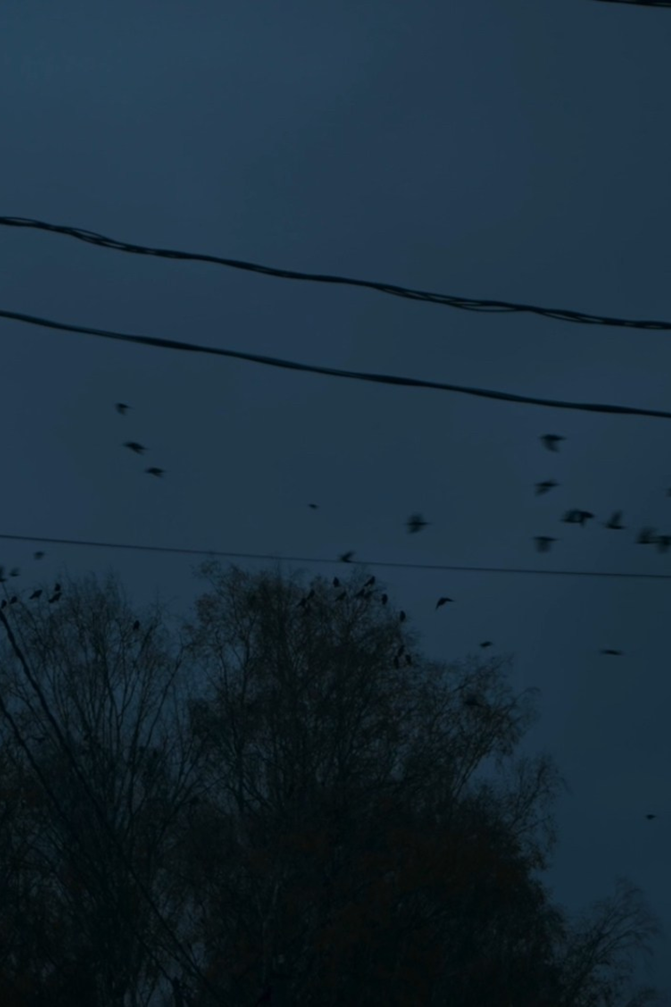 Простой взгляд на луну