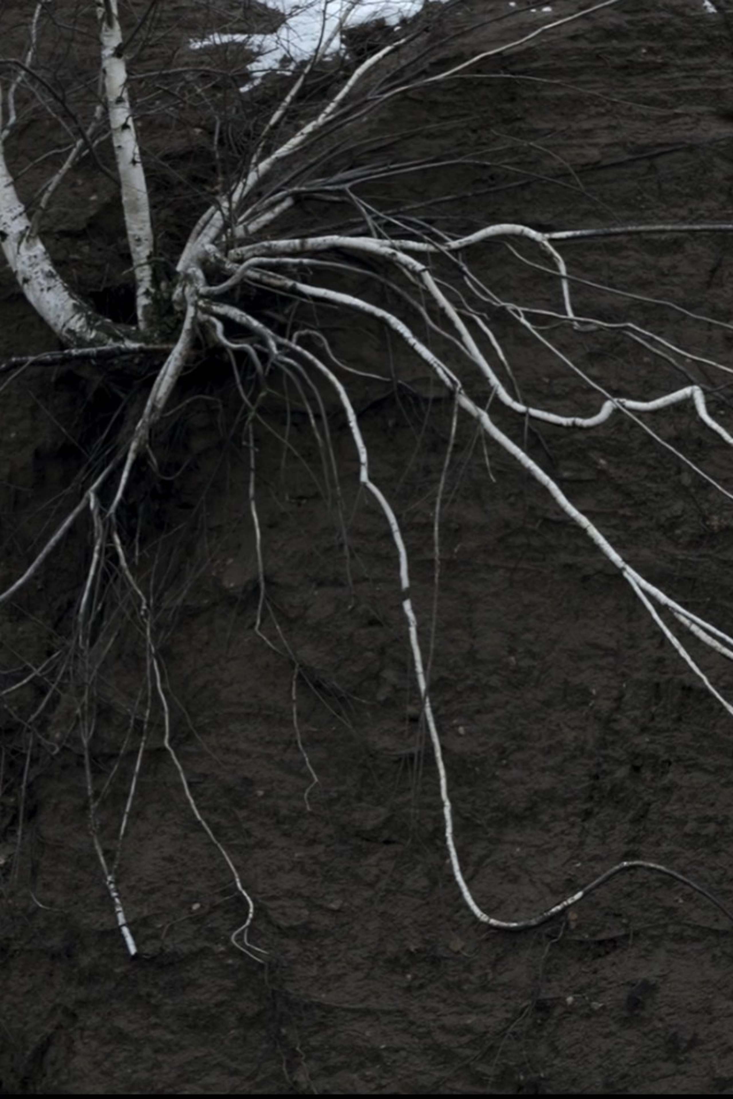 Простой взгляд на луну