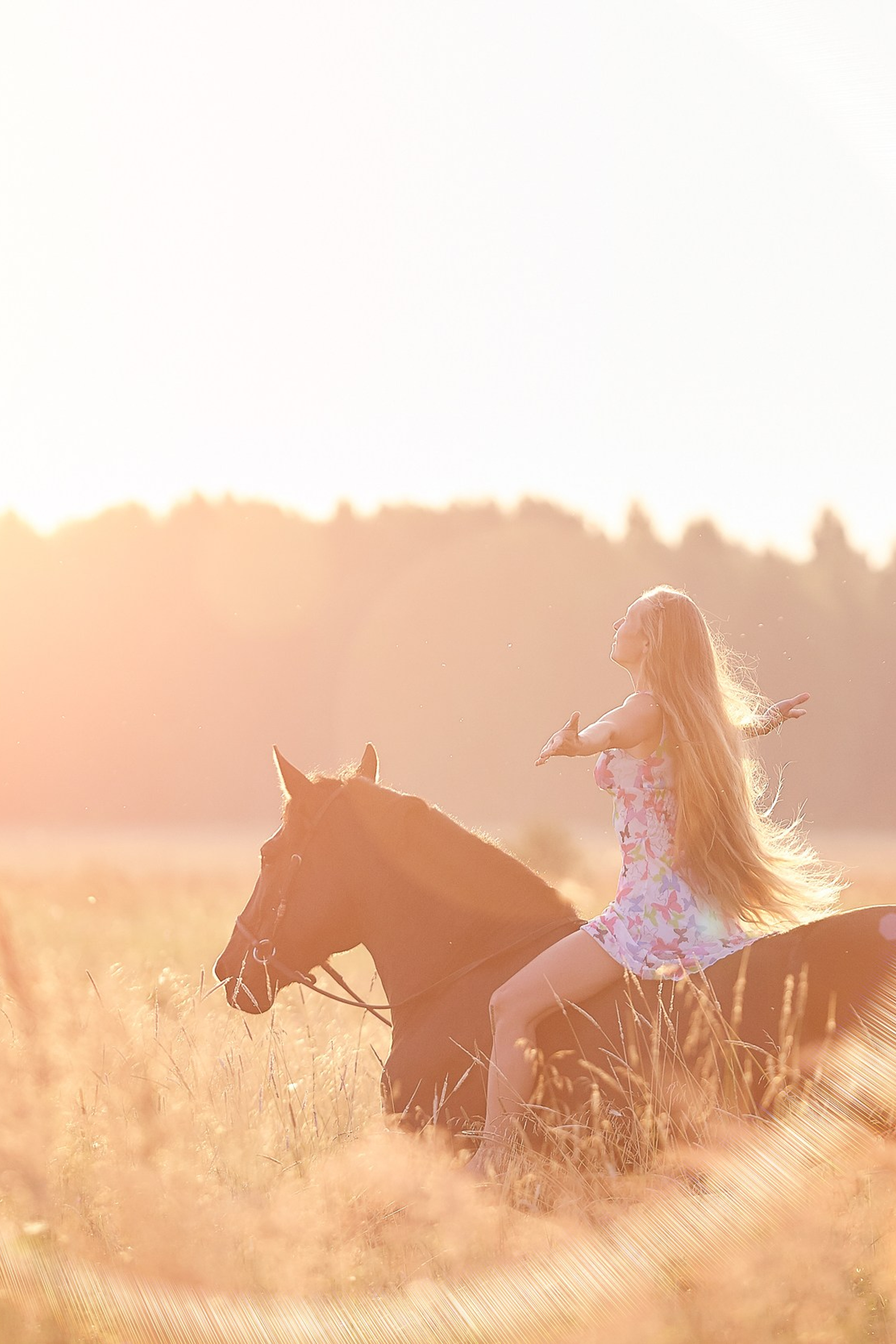 Фотосессия с лошадьми Фотограф Михаил Семенов, г. Ярославль