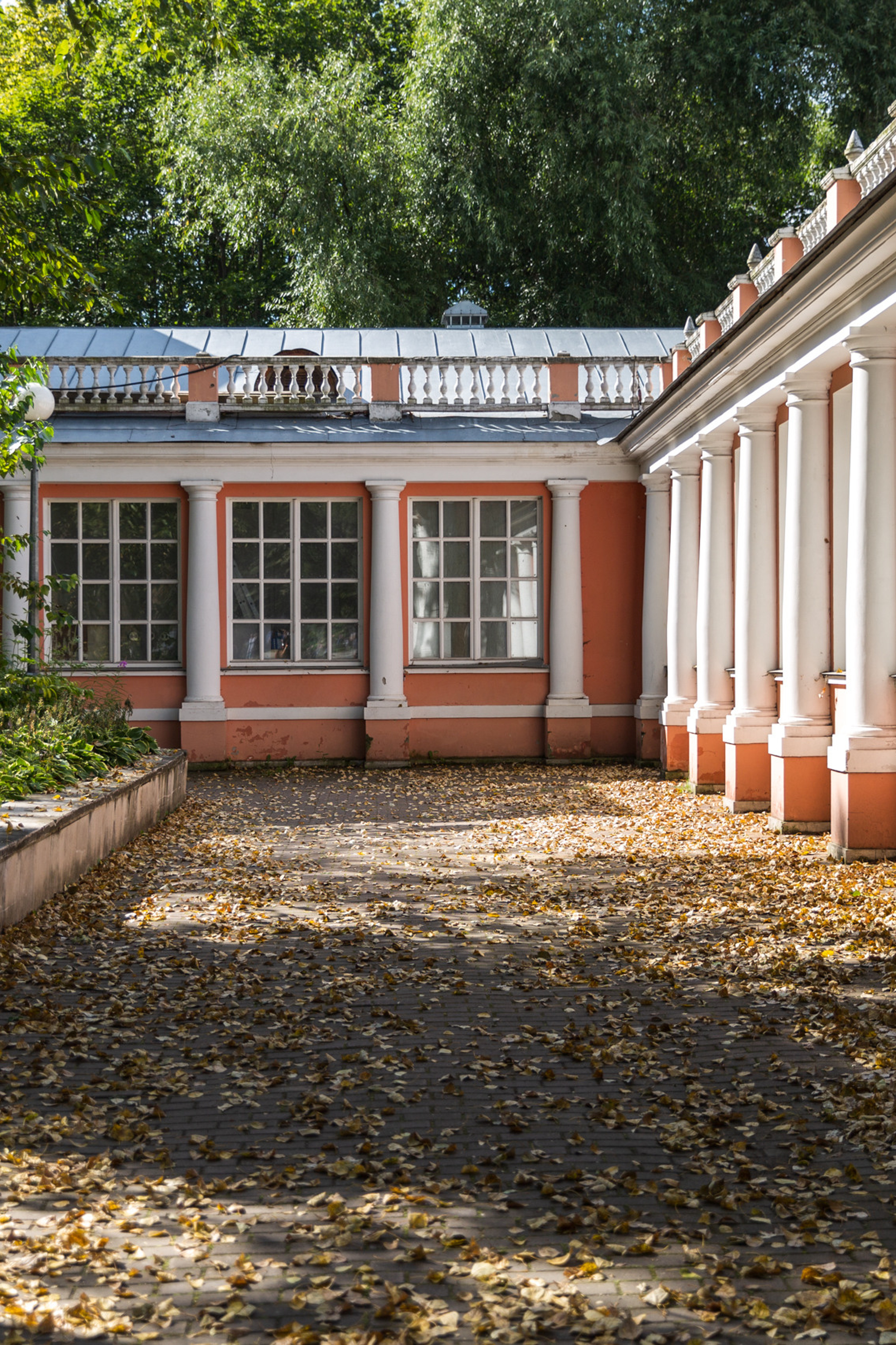 График съемок ноябрь–декабрь. Фотограф в Москве Ольга Олейникова