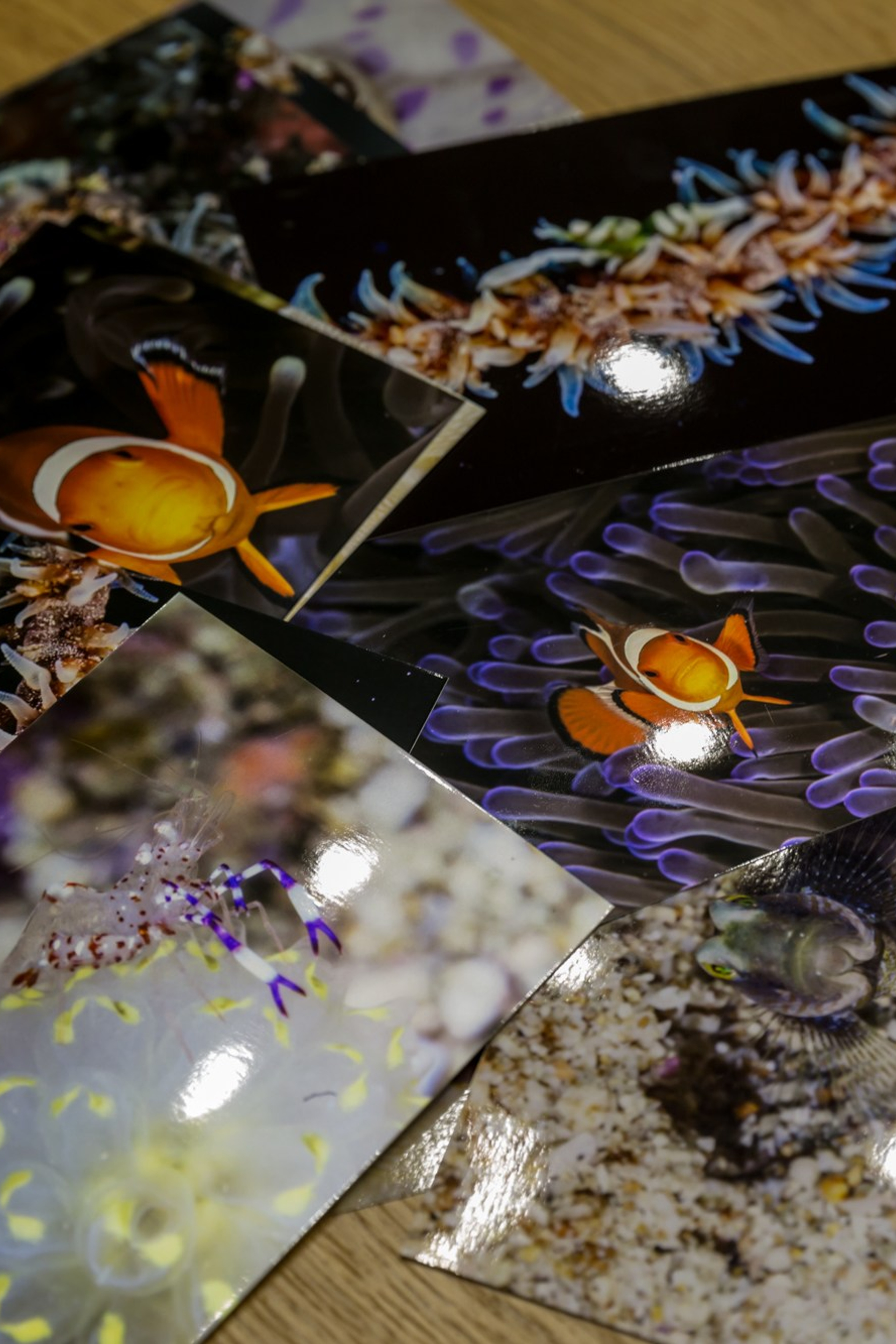 График съемок ноябрь–декабрь. Фотограф в Москве Ольга Олейникова