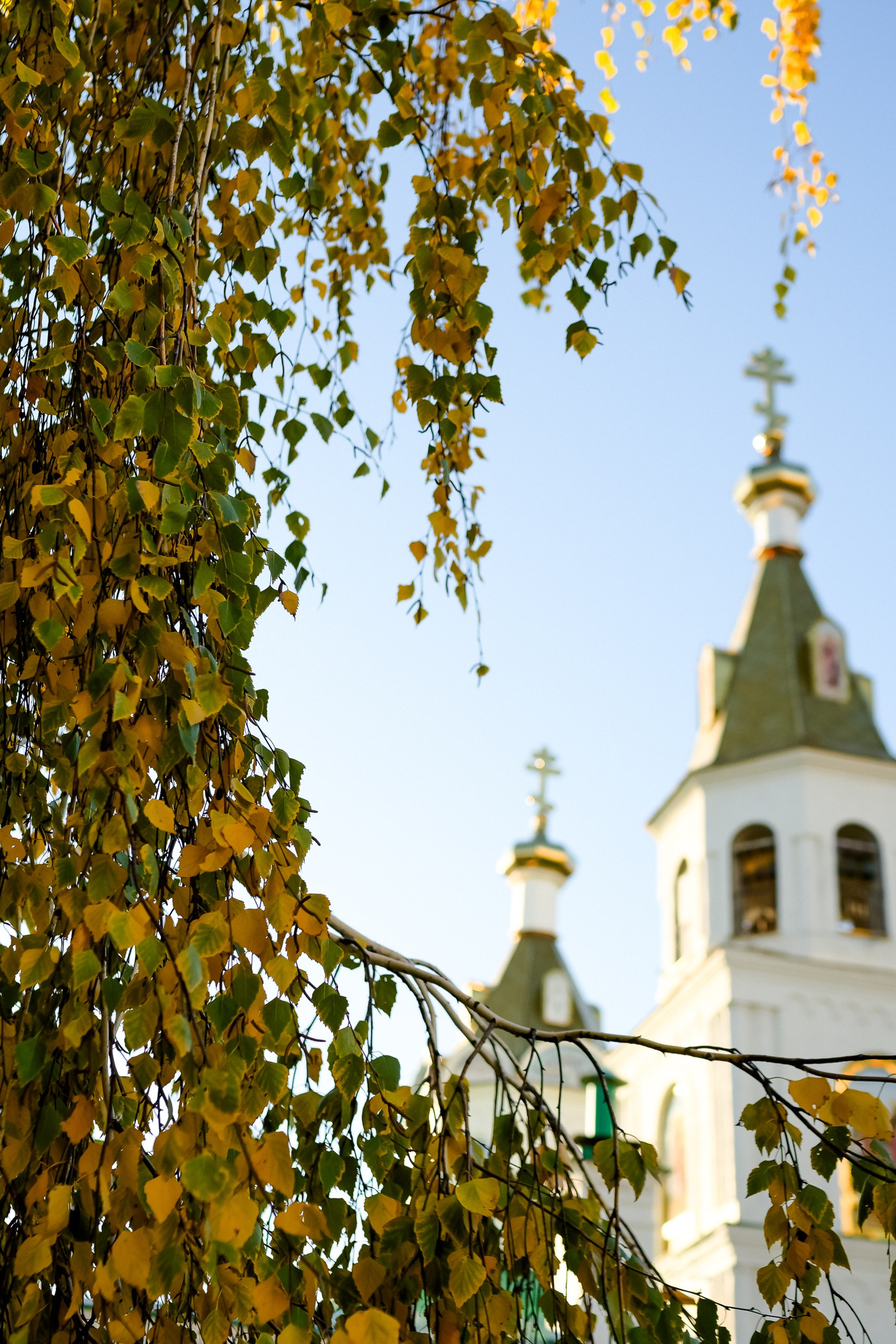 Бокс. Семейный фотограф в Самаре Мария Компаниец