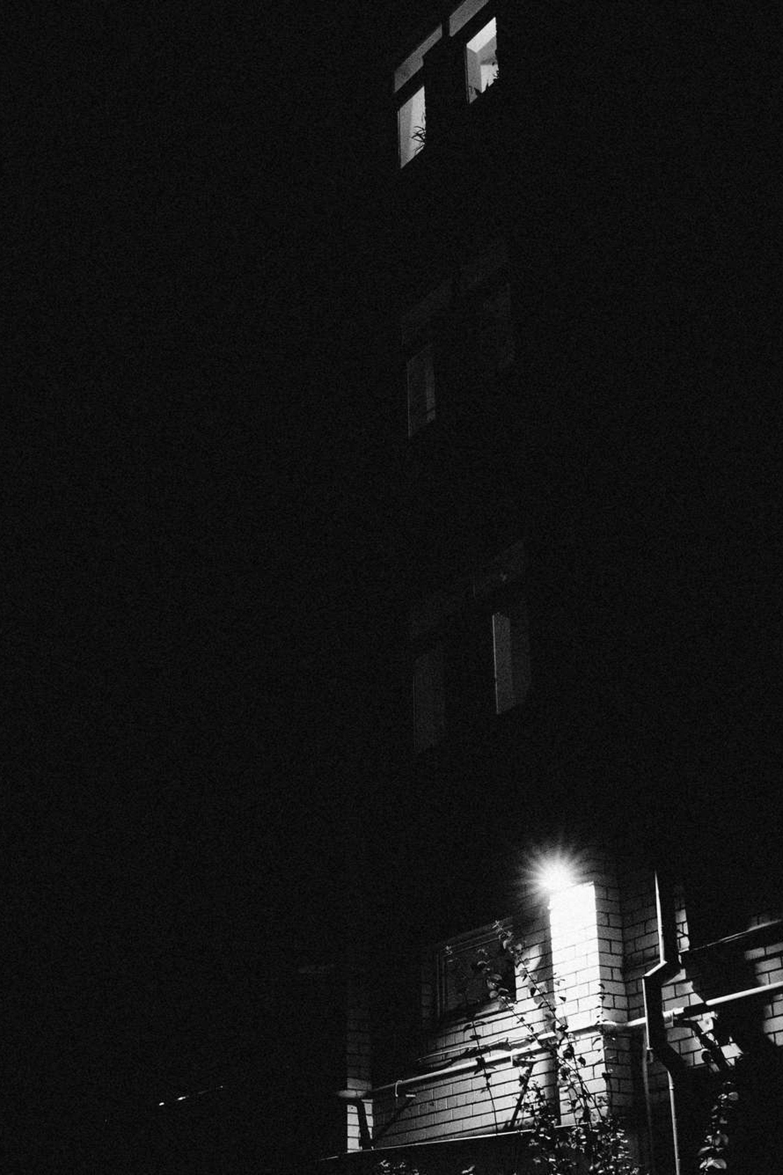 Беги на рассвет