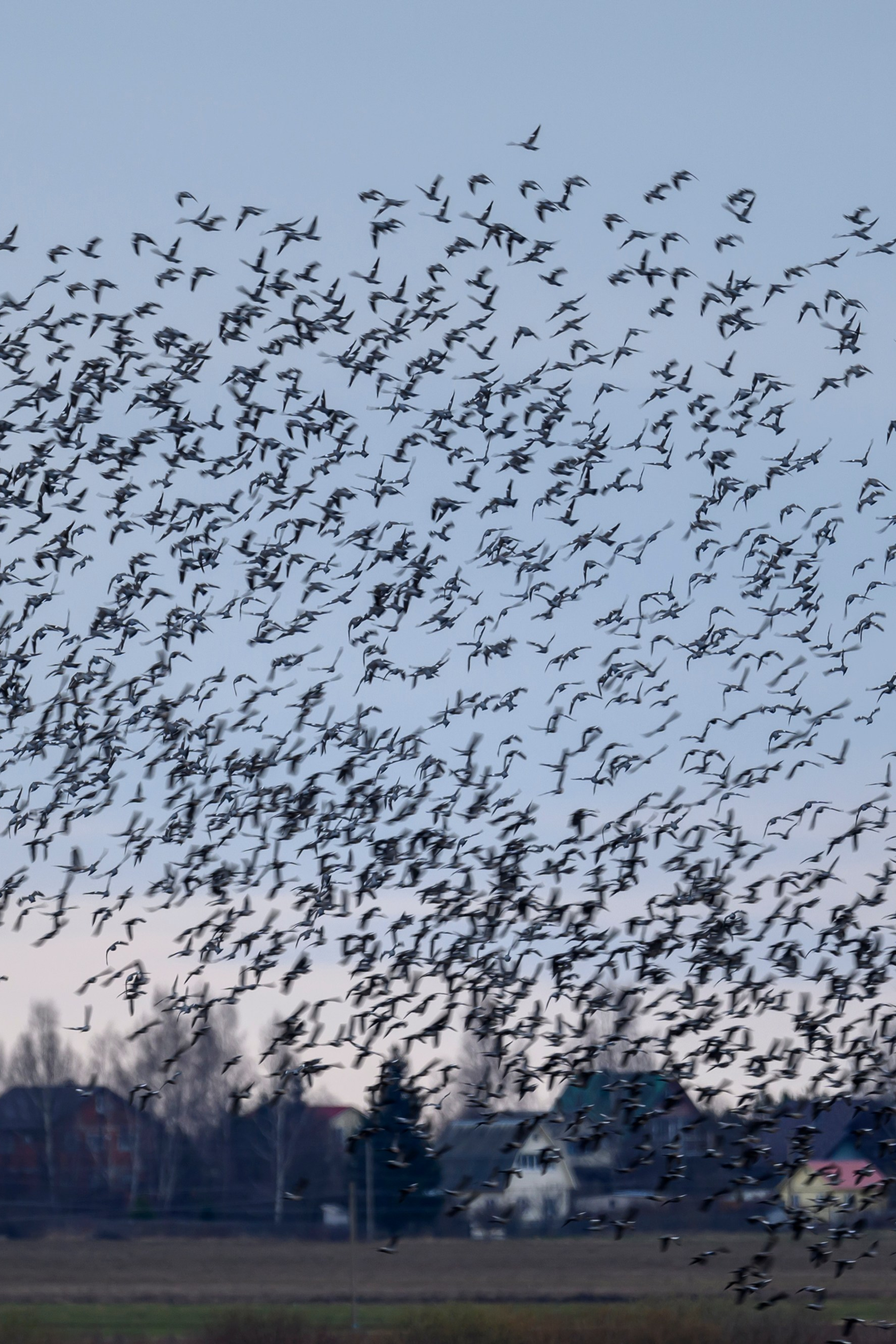 Фотограф Сергей Пупонин