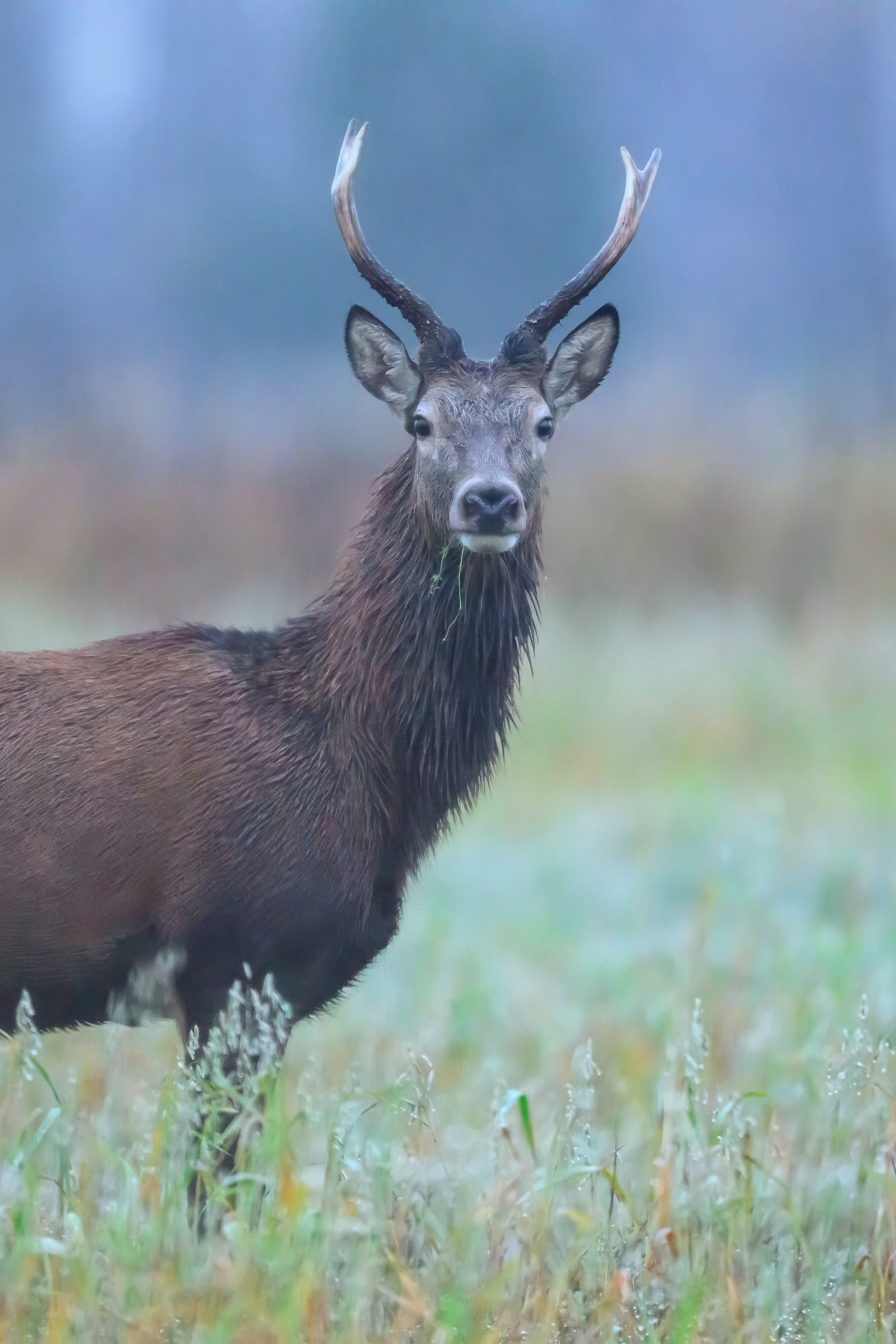 Фотограф Сергей Пупонин