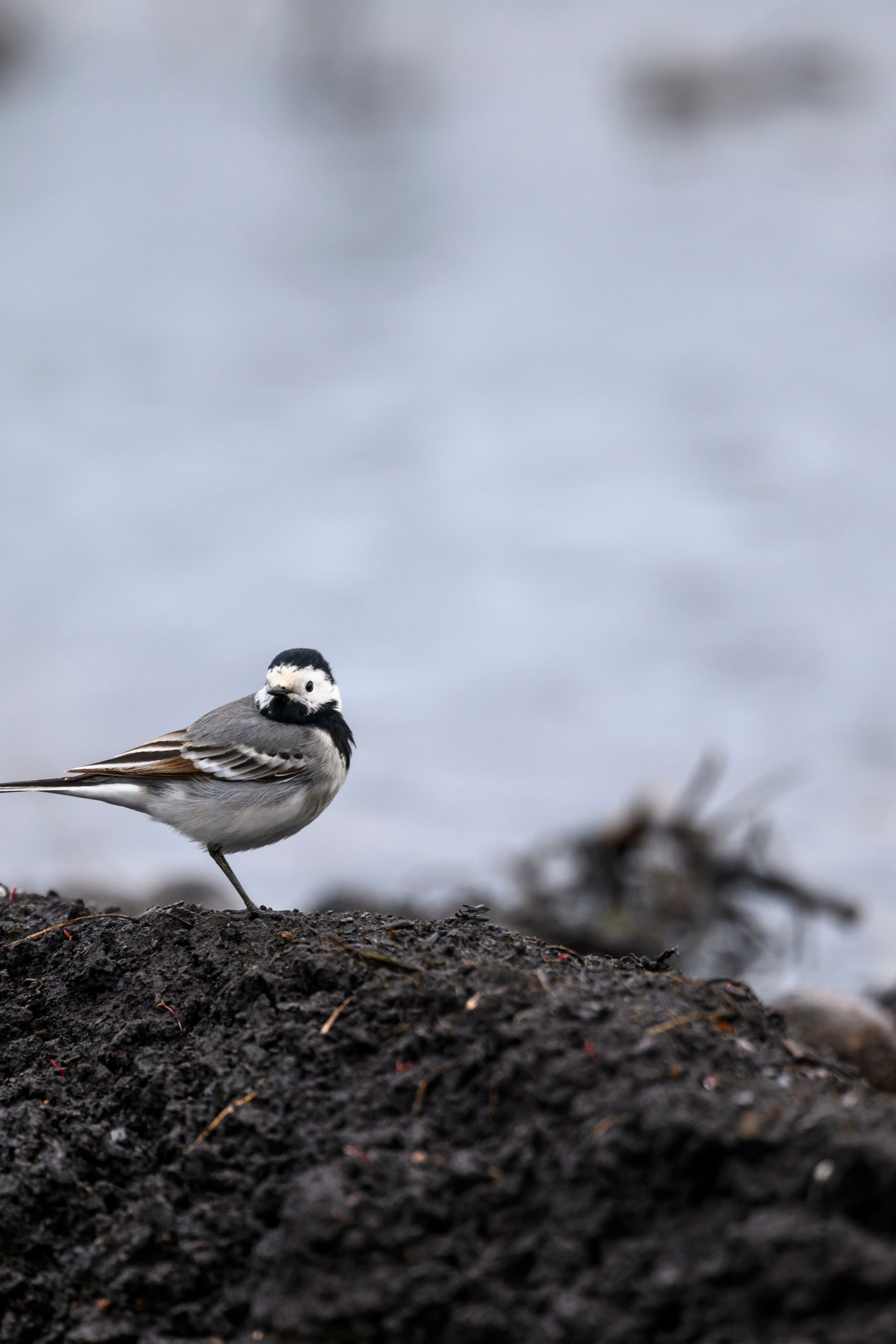 Фотограф Сергей Пупонин