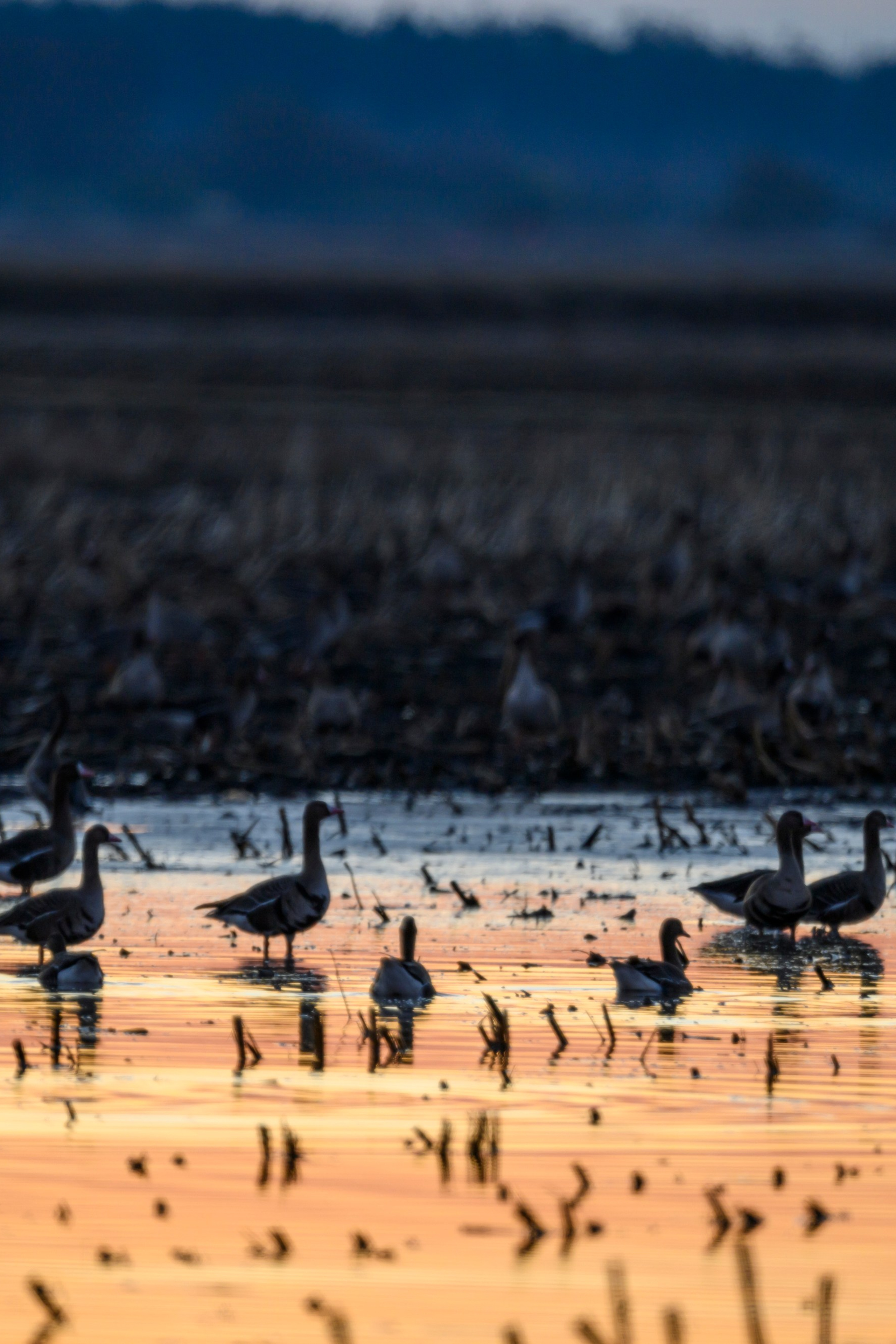 Фотограф Сергей Пупонин