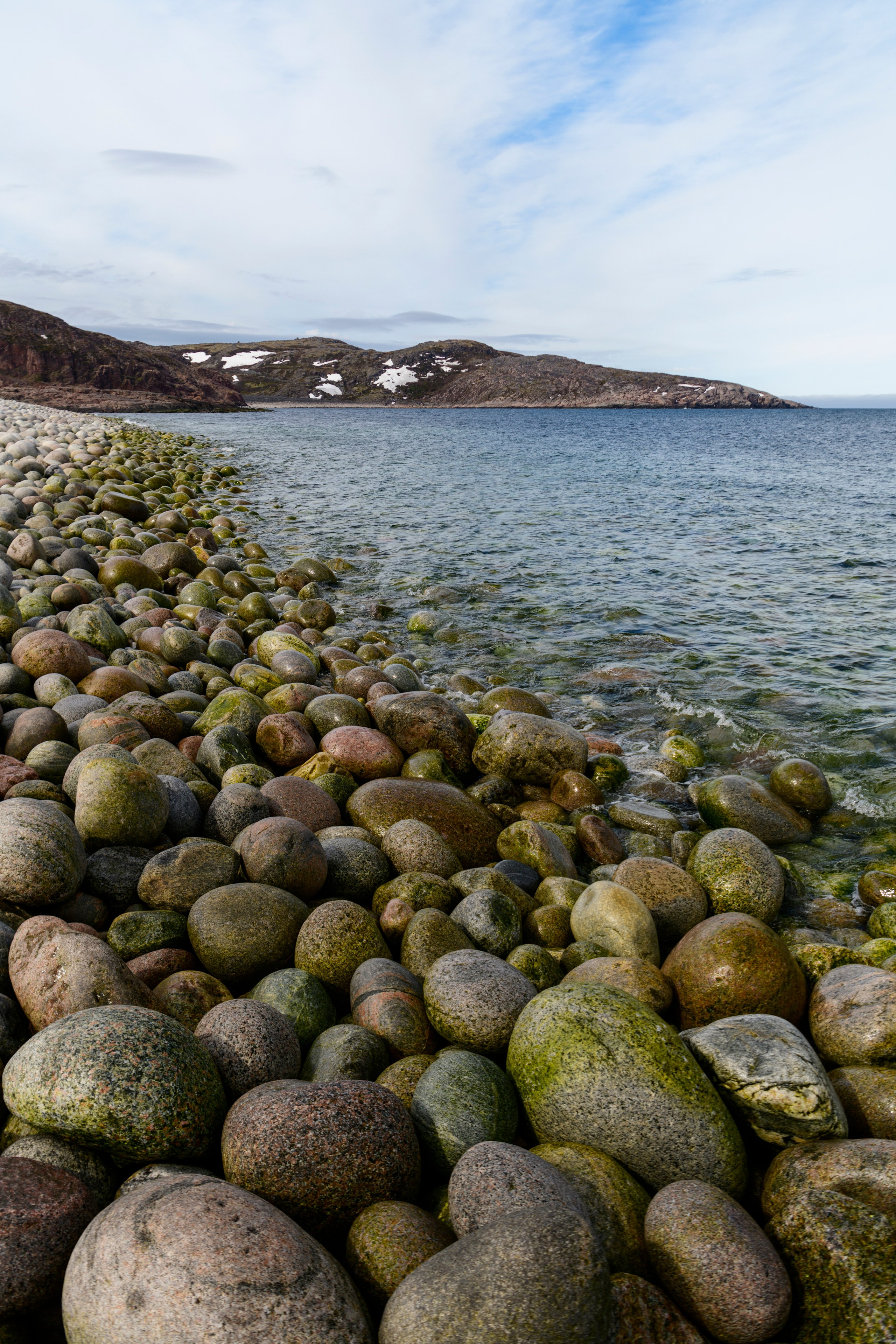 Мурманская область. Июнь 2024