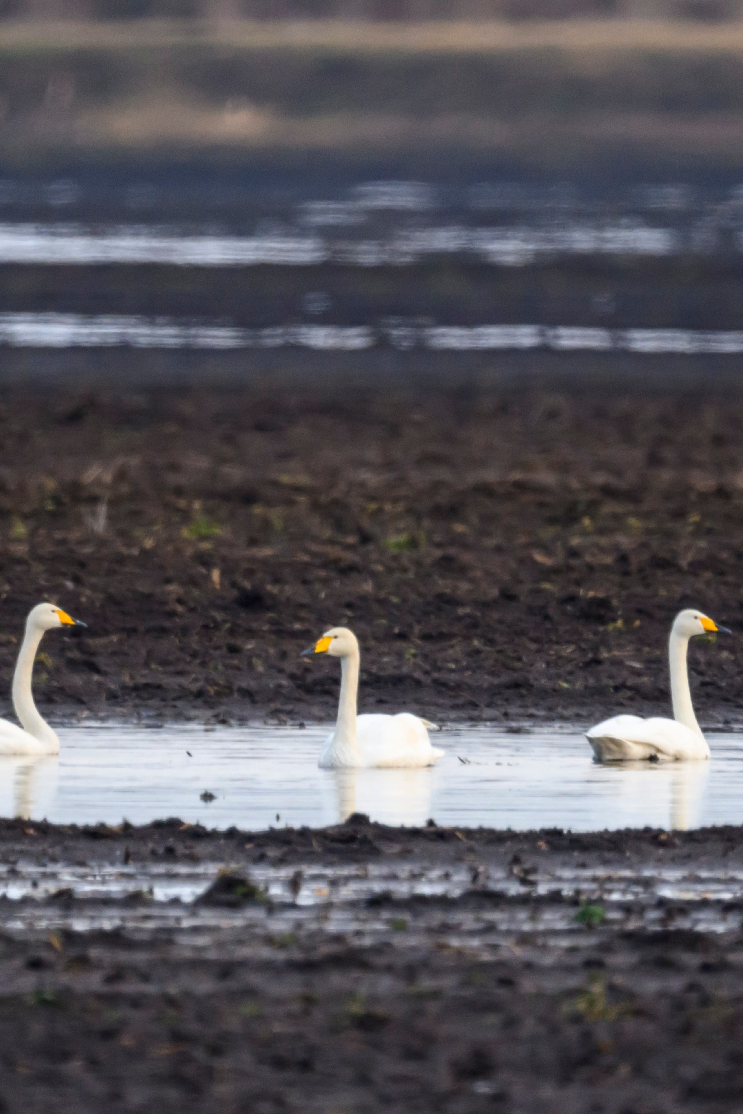 Фотограф Сергей Пупонин