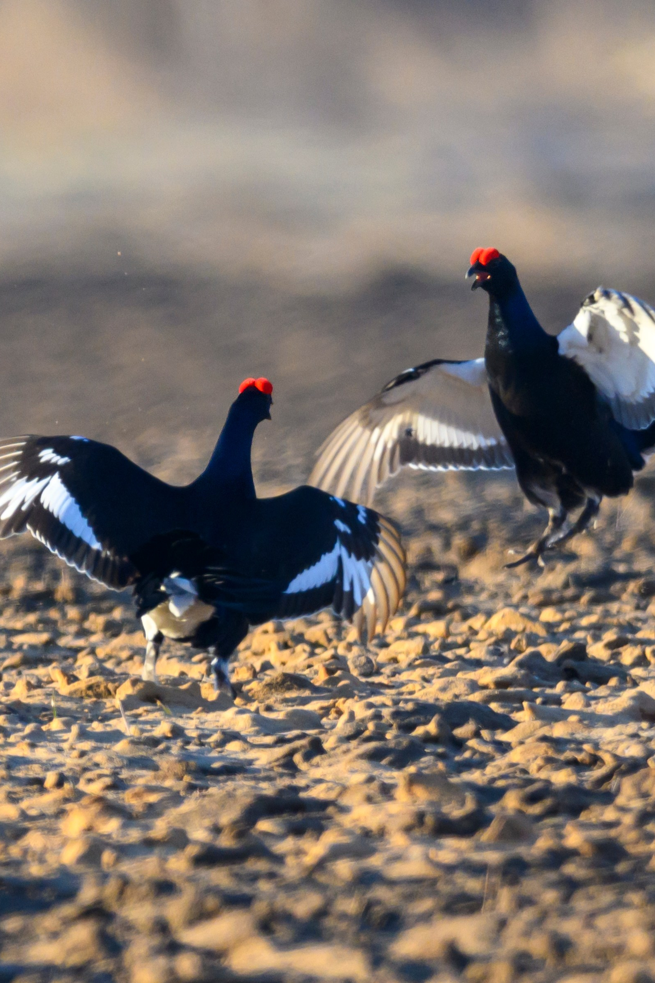 Фотограф Сергей Пупонин