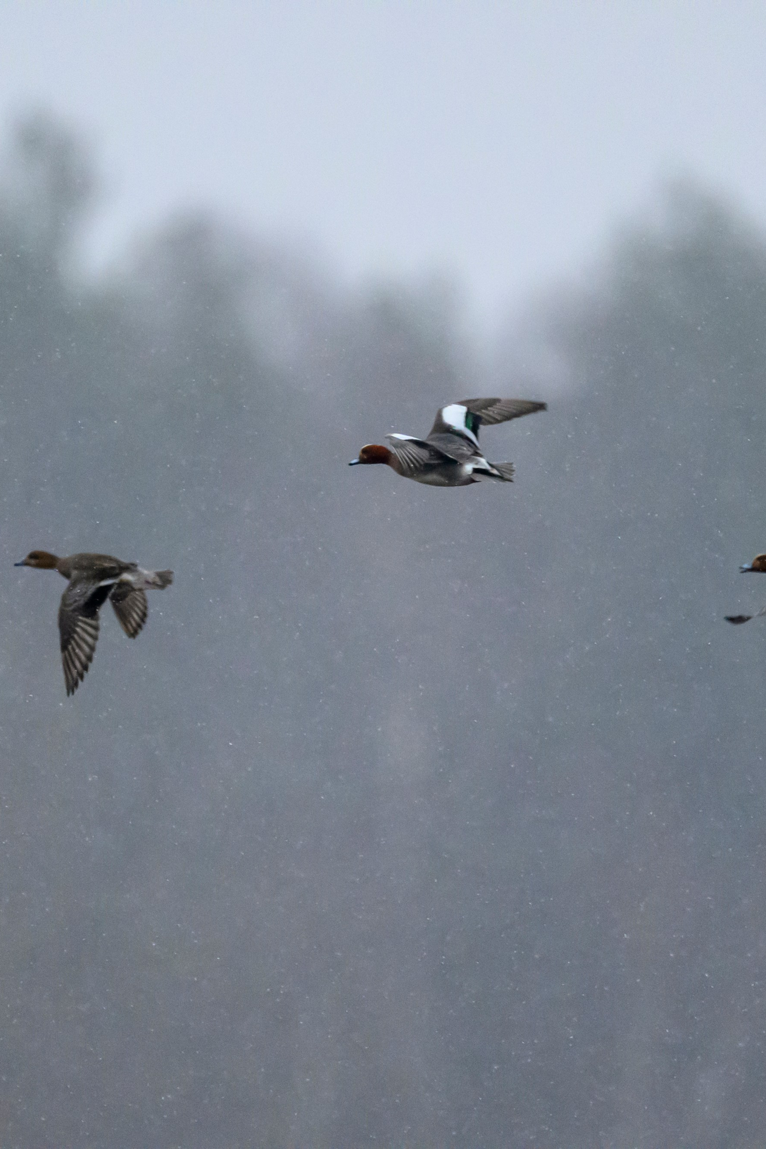 Фотограф Сергей Пупонин