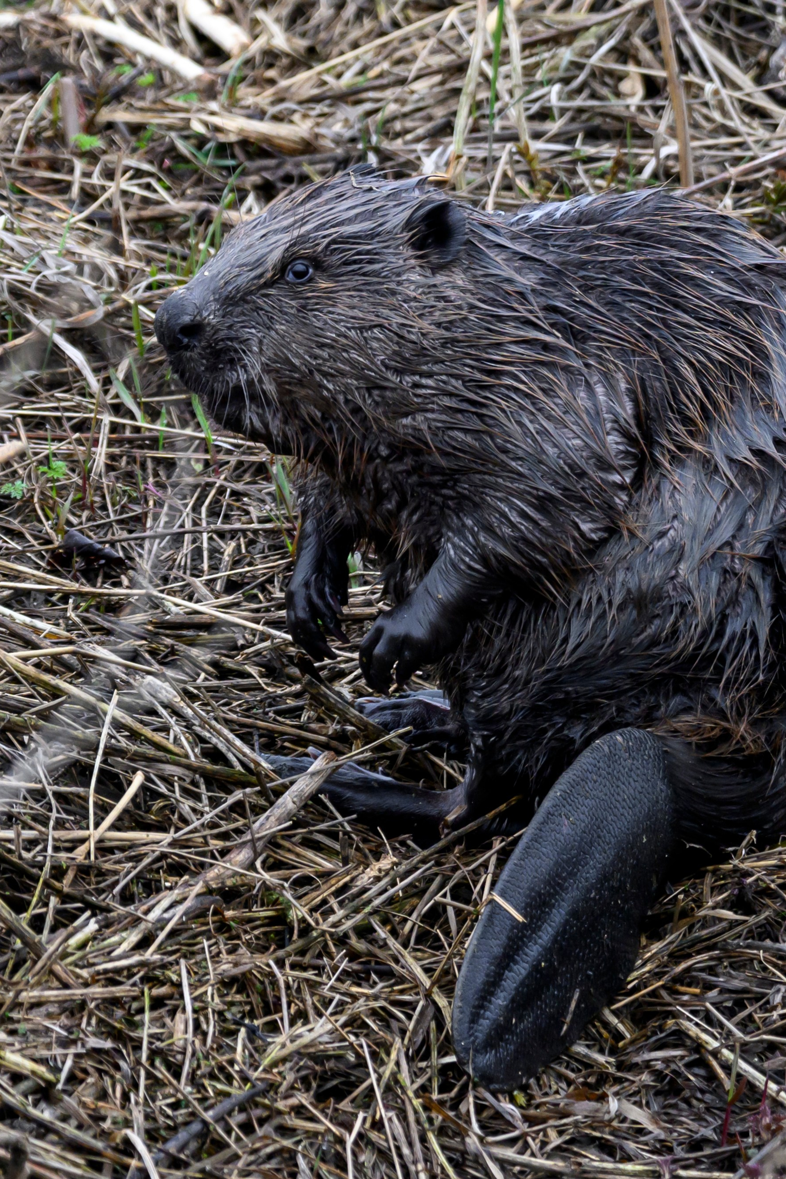 Фотограф Сергей Пупонин
