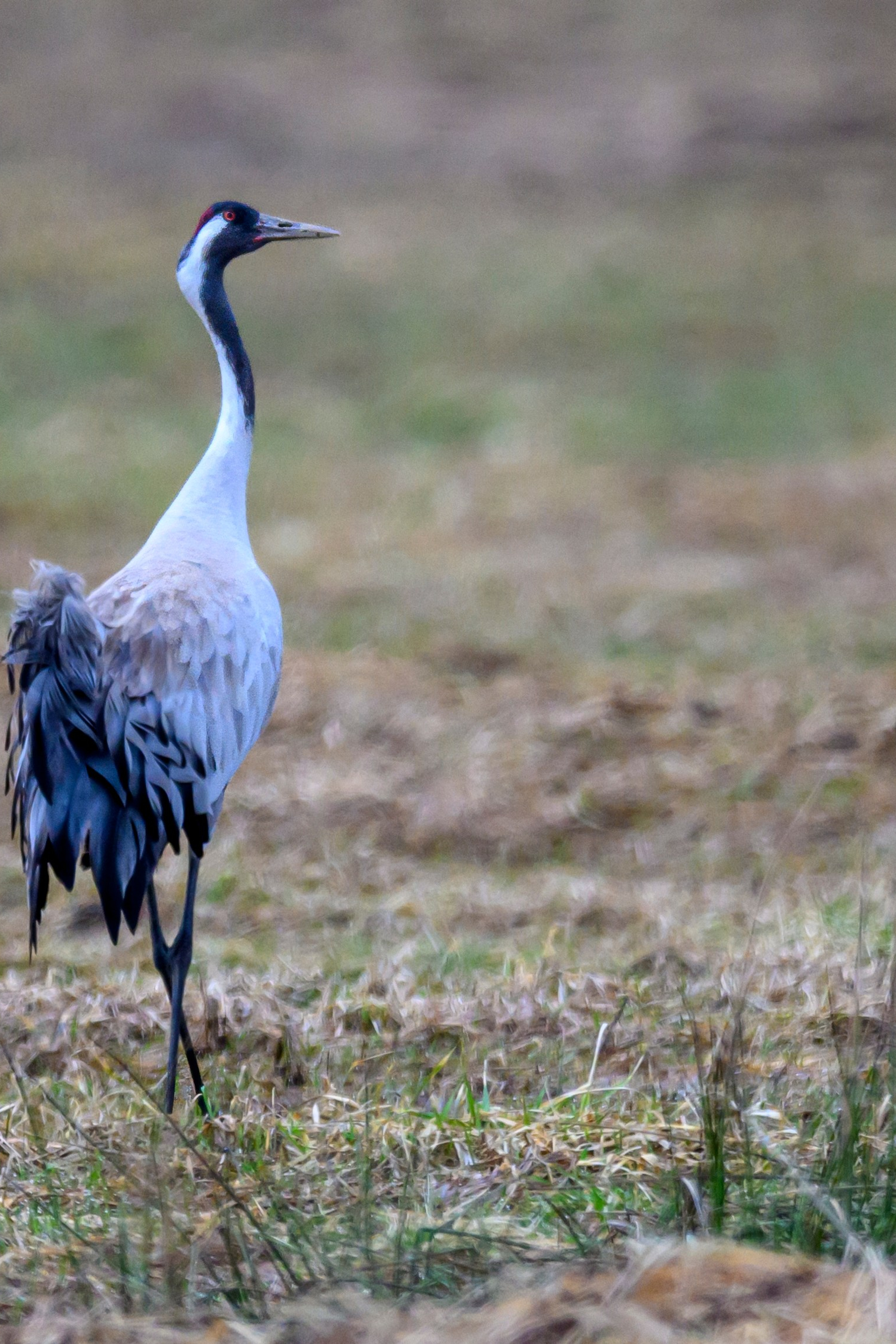 Фотограф Сергей Пупонин