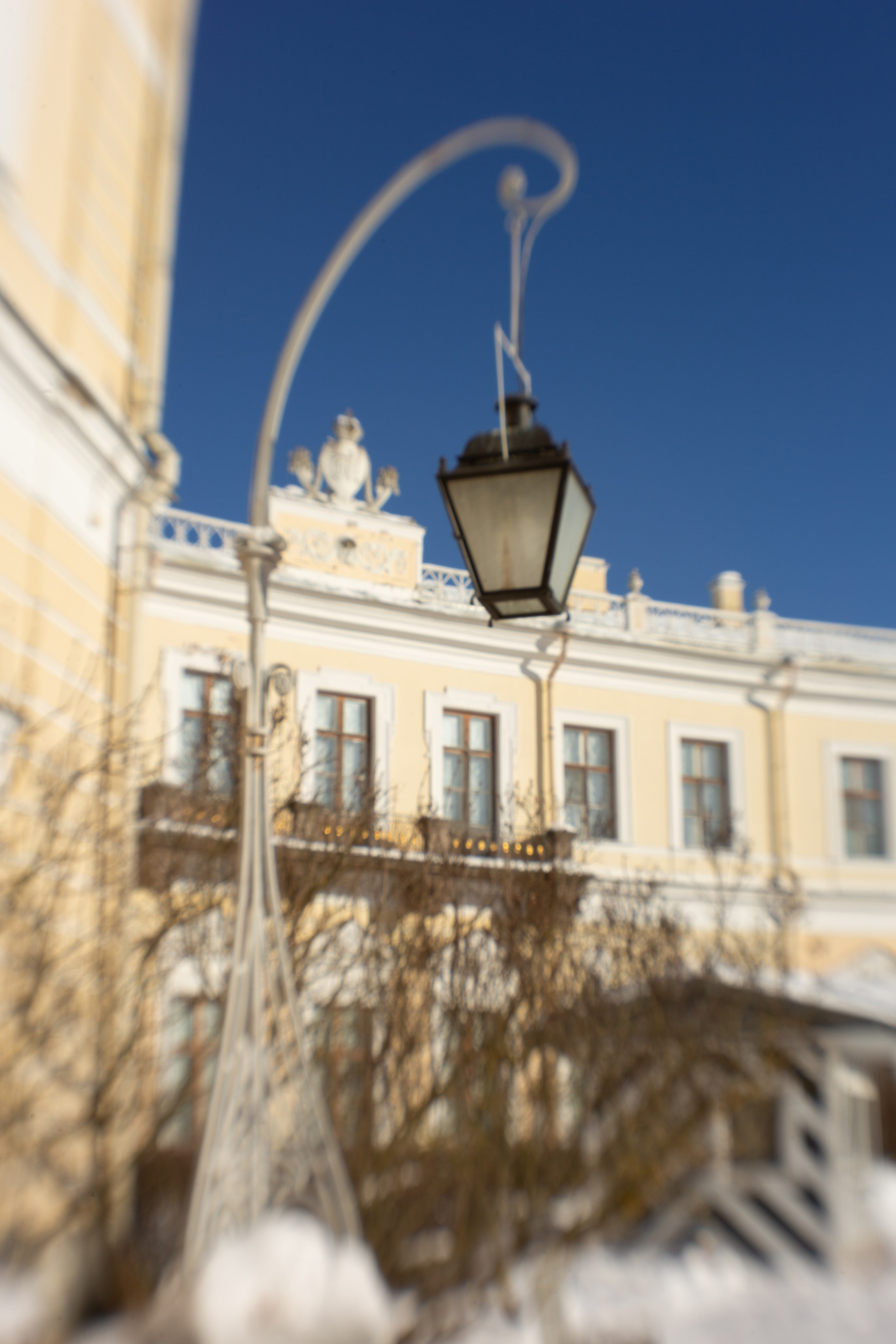 Визуал для коуча: как одна съемка создает контент на годы. Портретный фотограф в Санкт-Петербурге