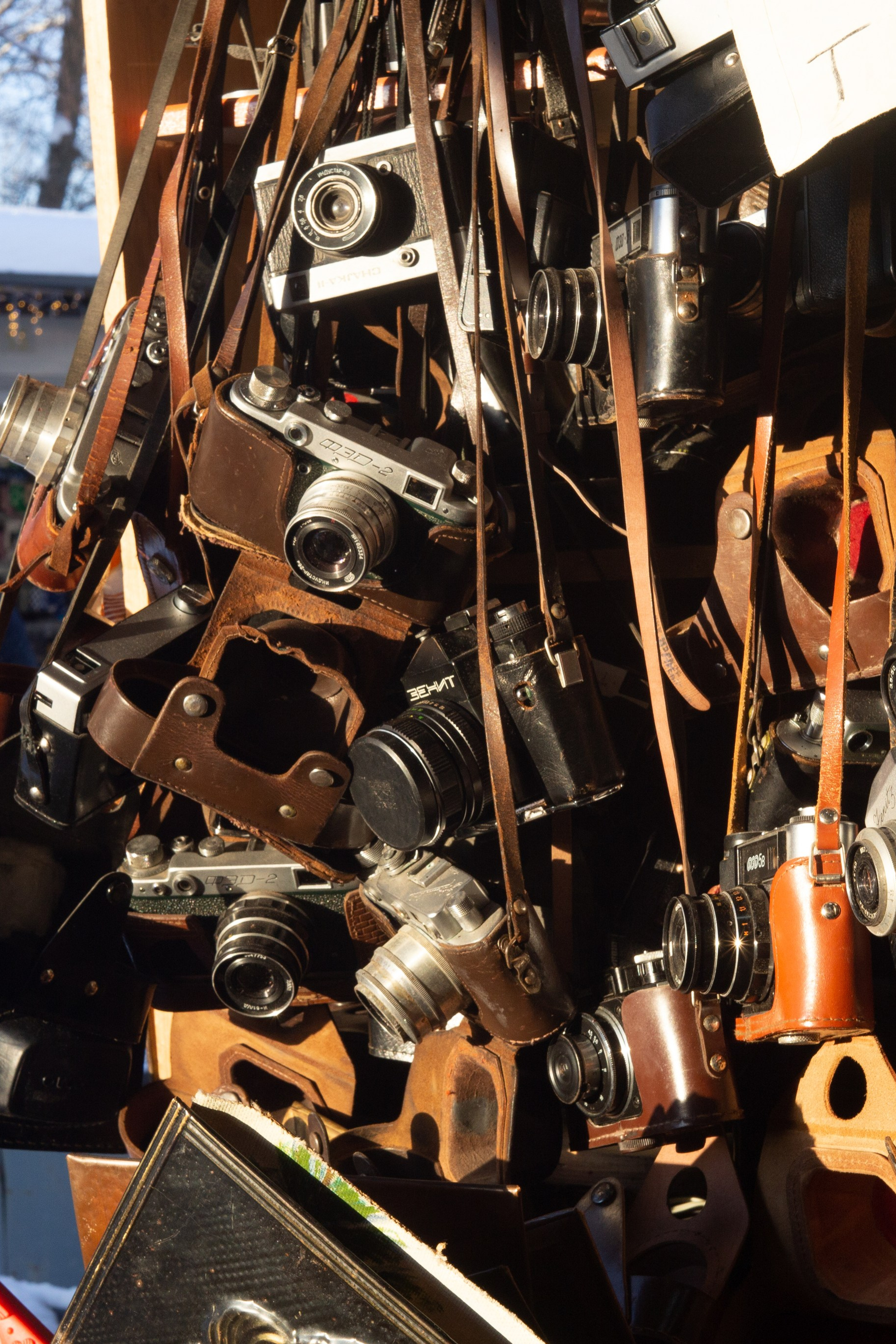 Зарисовки из Павловска. Портретный фотограф в Санкт-Петербурге