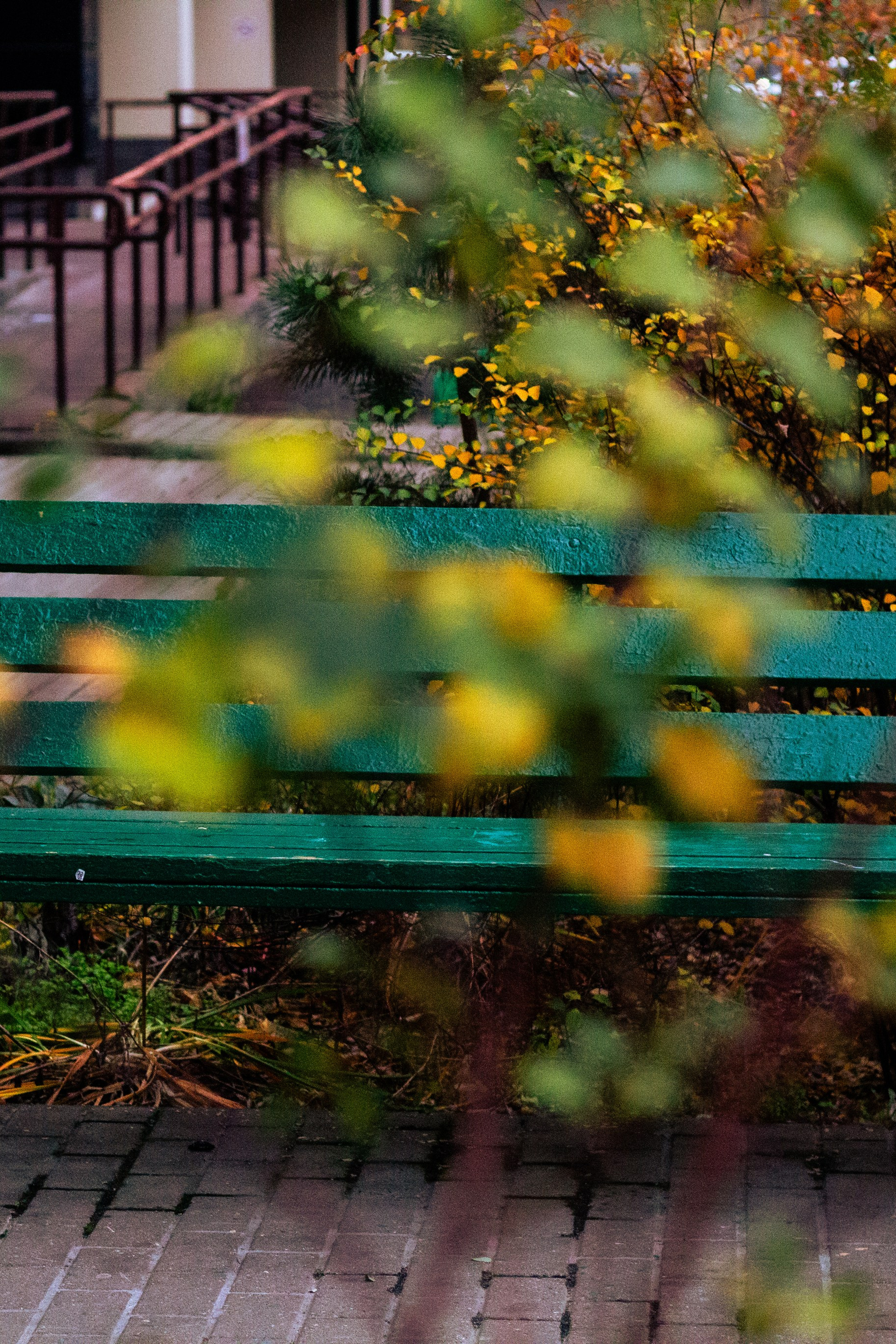Истории. Фотограф Москва, портрет, стрит, репортаж. Художественная фотосессия