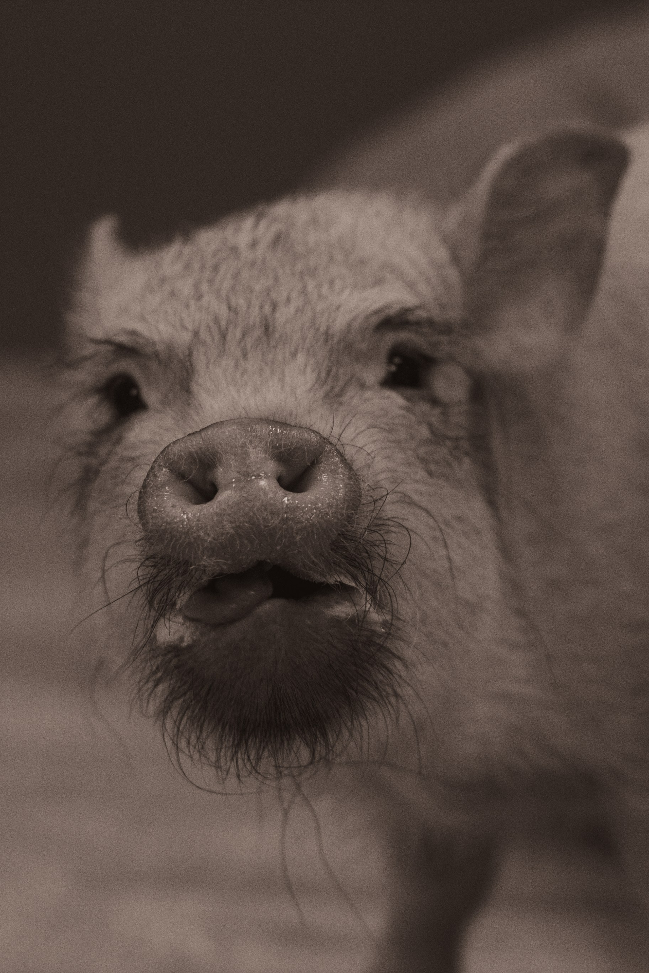 Истории. Фотограф Москва, портрет, стрит, репортаж. Художественная фотосессия