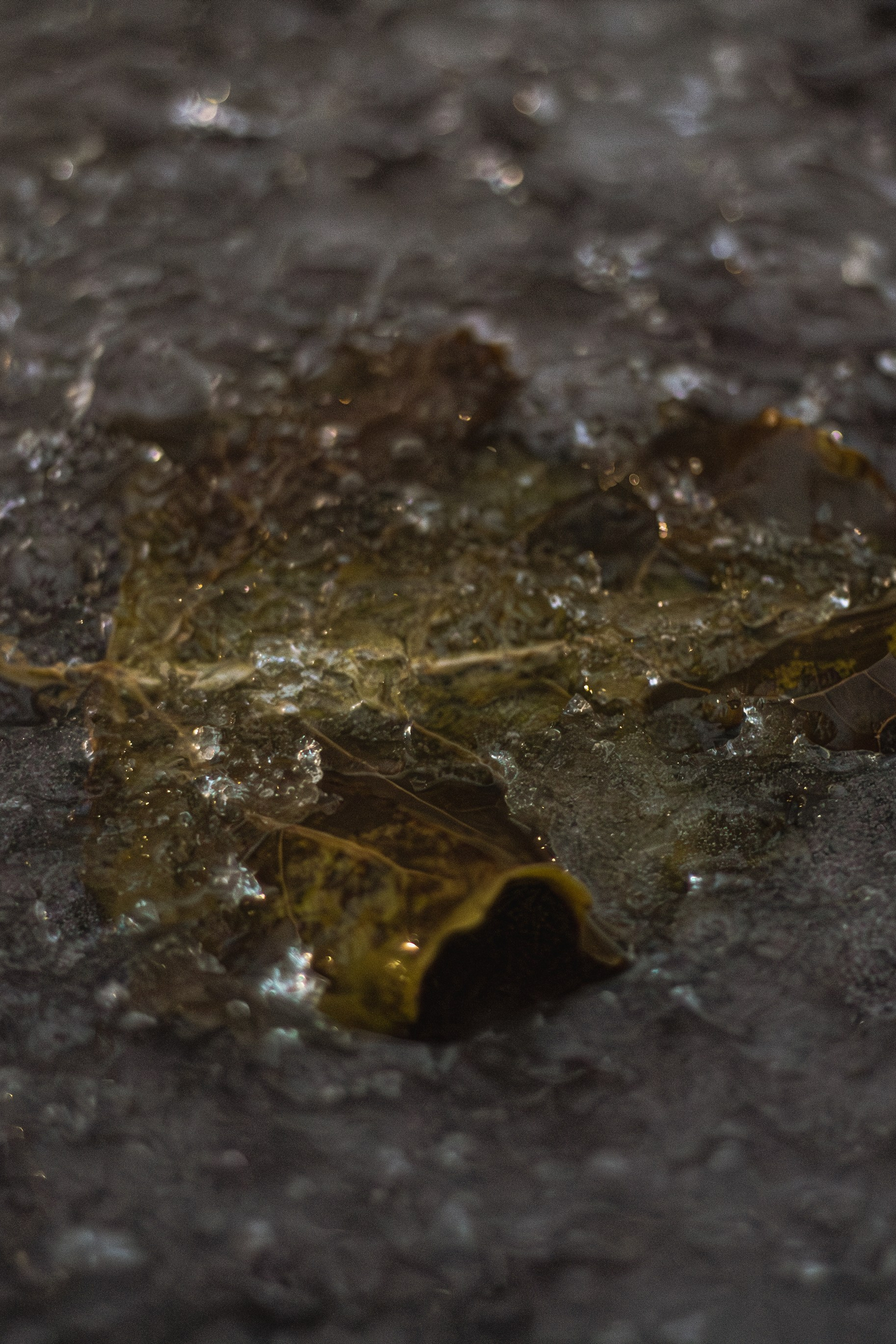 Истории. Фотограф Москва, портрет, стрит, репортаж. Художественная фотосессия