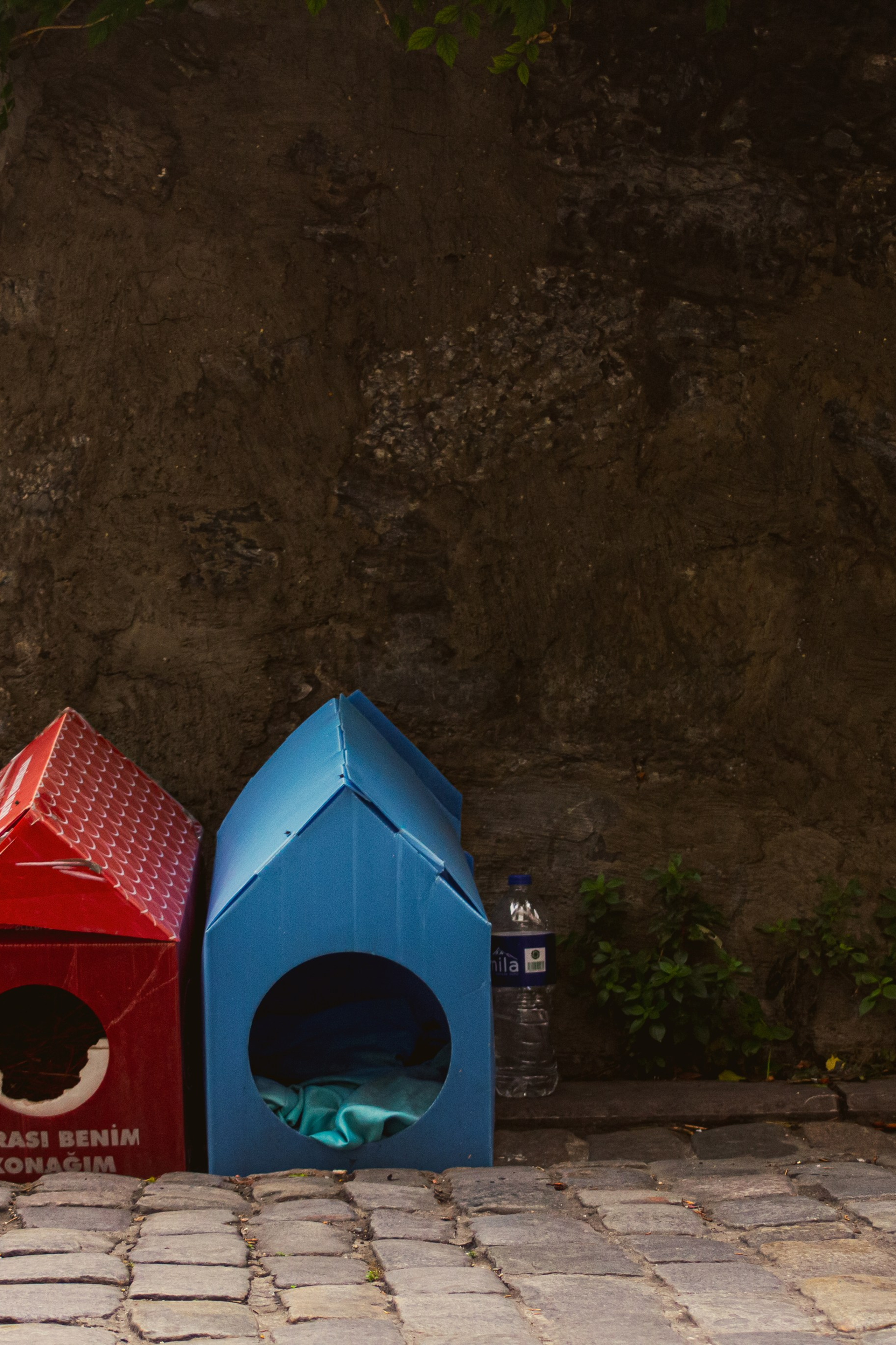 Истории. Фотограф Москва, портрет, стрит, репортаж. Художественная фотосессия