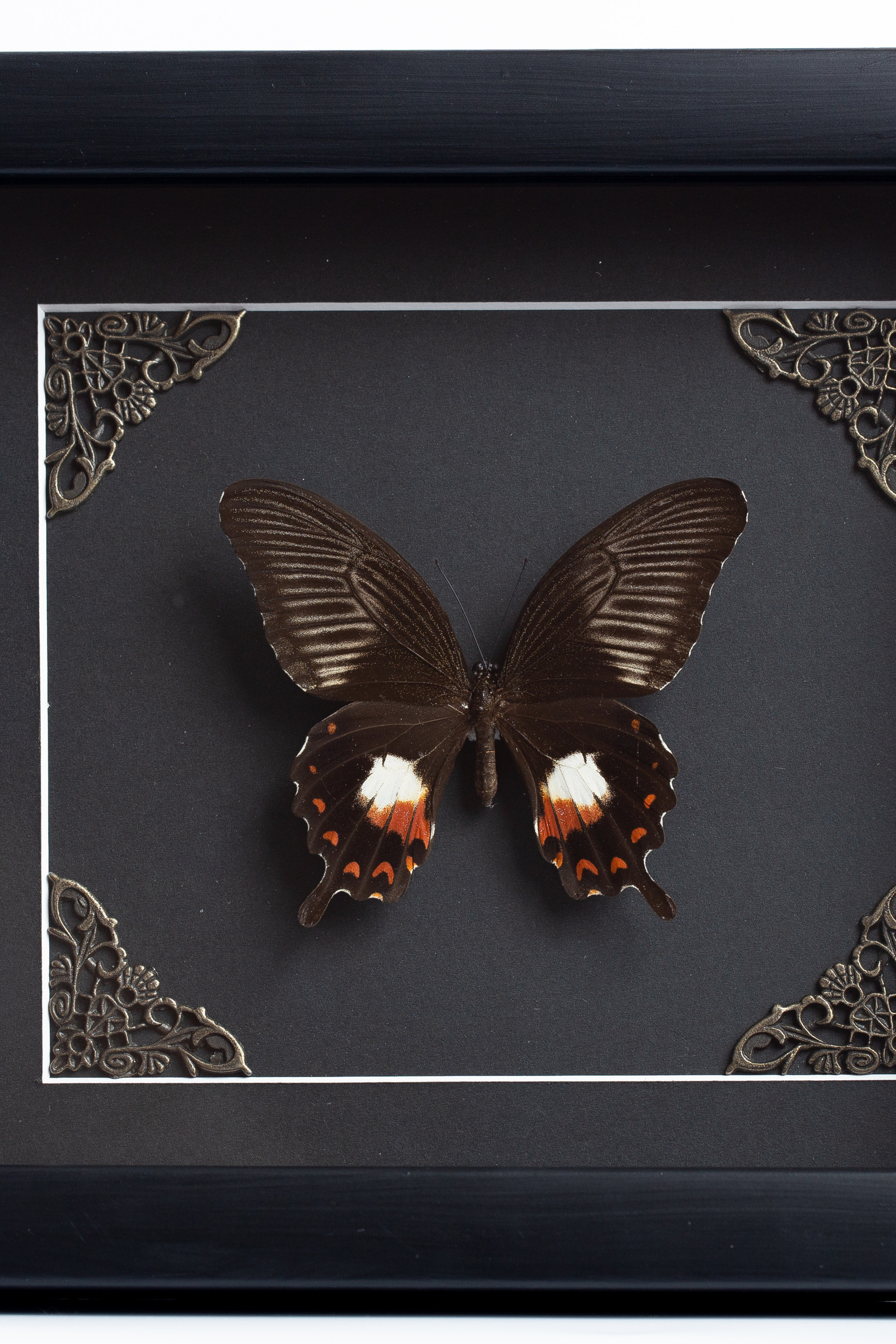 Примеры работ фотографа Макса Дьякова