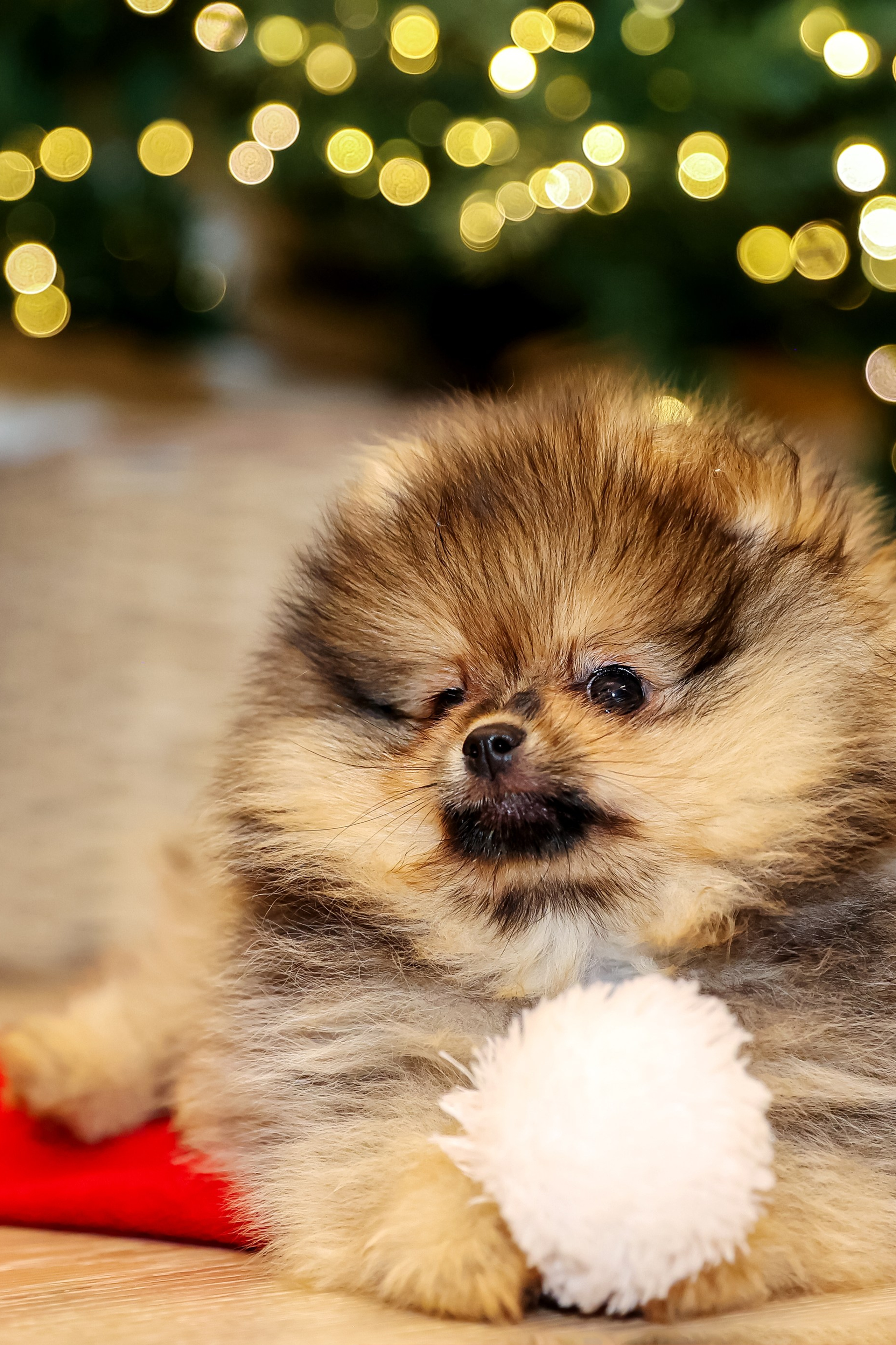 Истории. Фотограф — Татьяна Кириллова, г. Санкт-Петербург