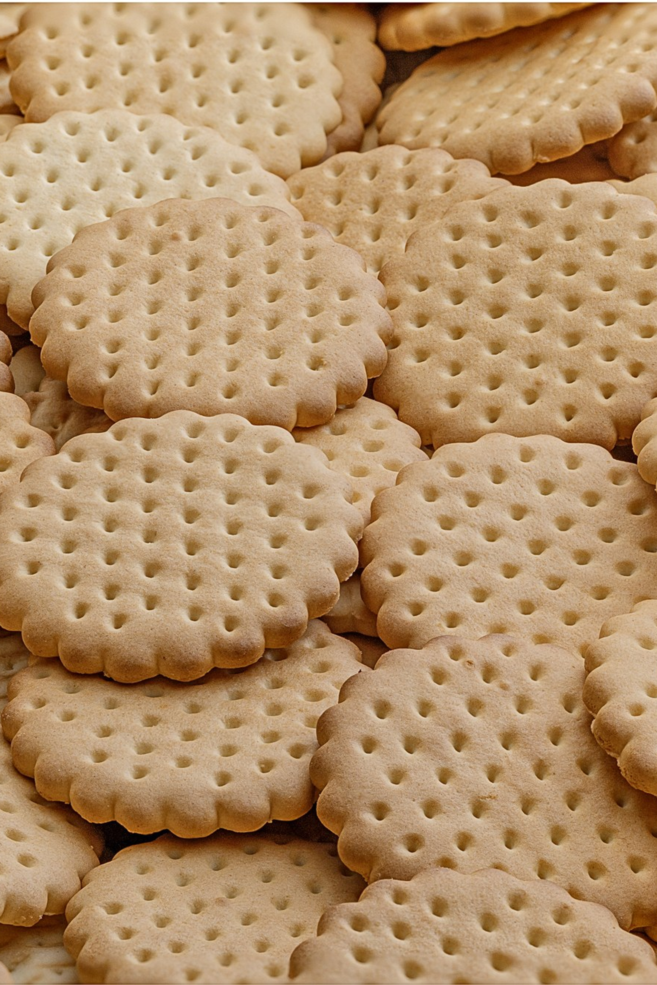 SMM и садовый инструмент. Фотограф и графический дизайнер Владимир Пуставетов