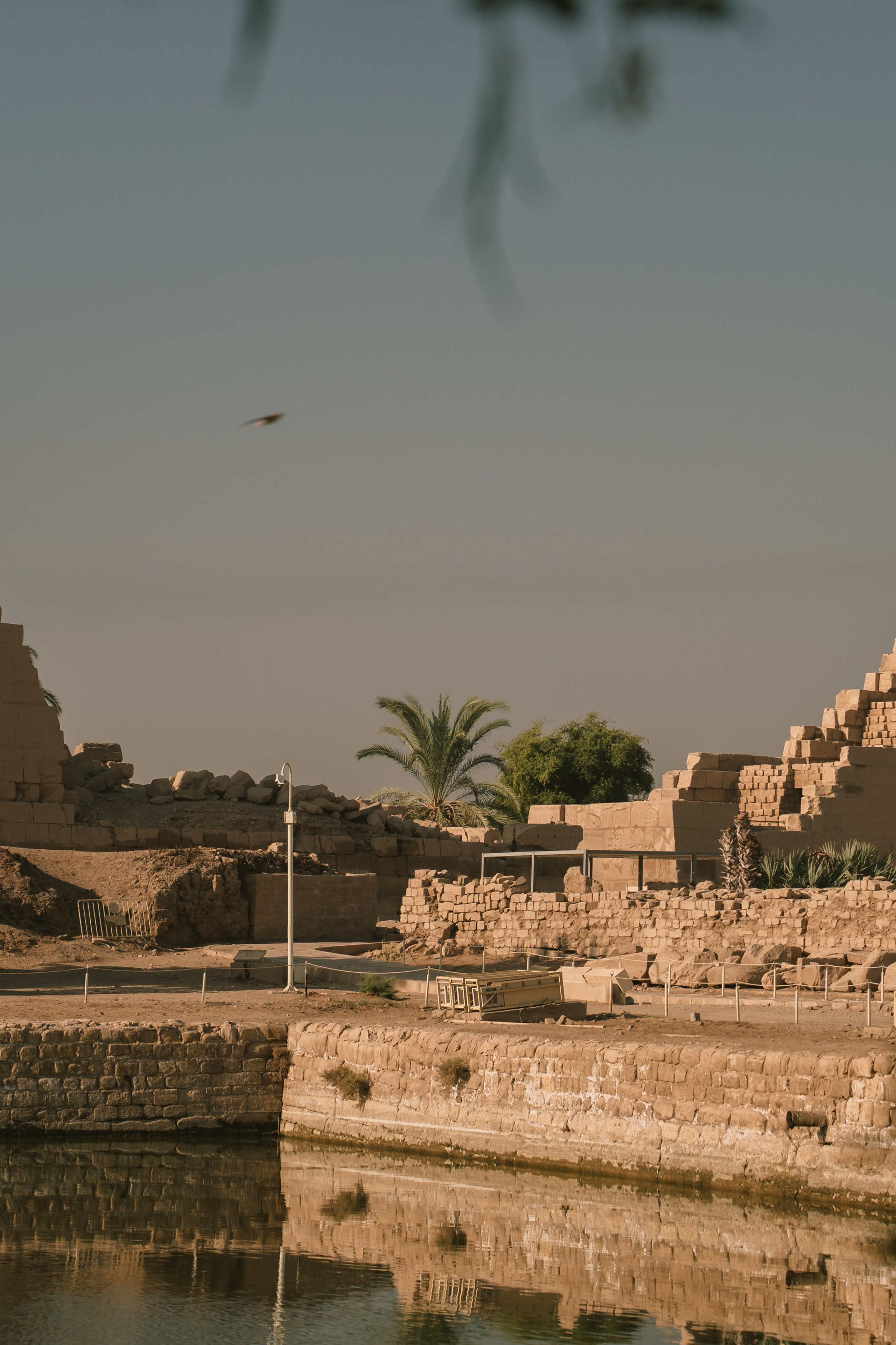 Ancient Egypt Adventure. Сергей Зворыгин