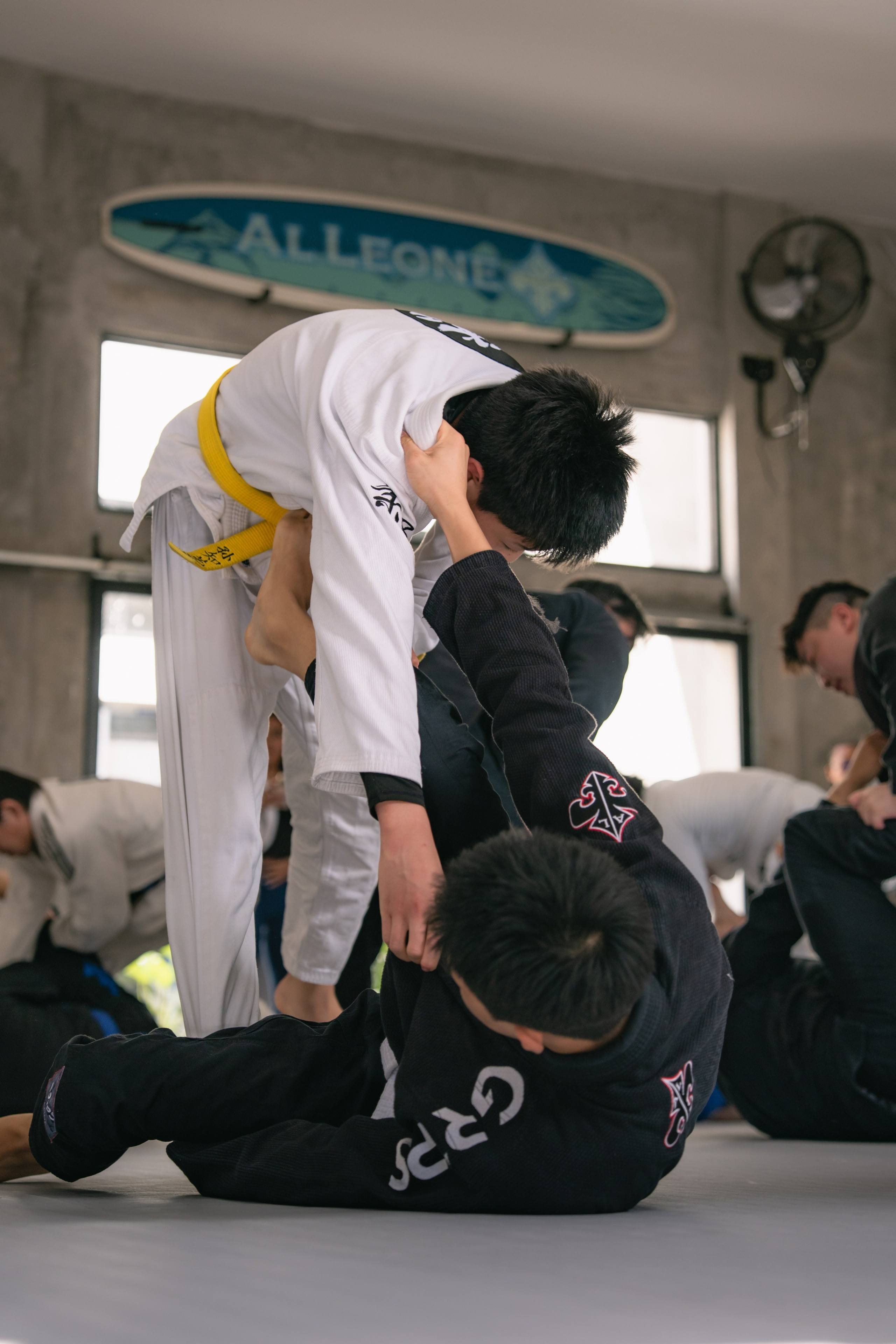 Lucas BARBOSA and Felipe PENA, a World, Pan American, European Open and Asian IBJJF champion. Сергей Зворыгин
