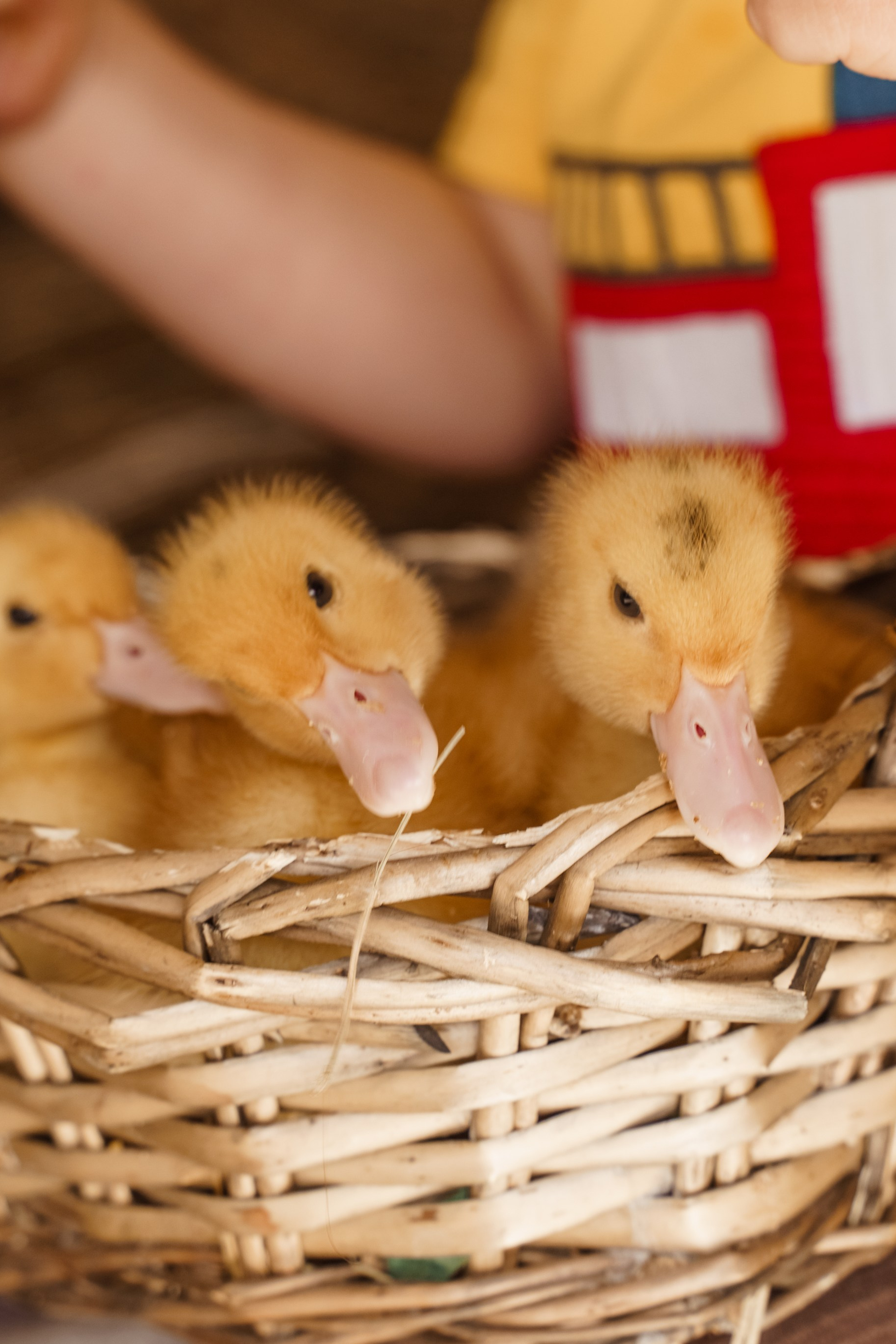 Фото истории с разных съемок