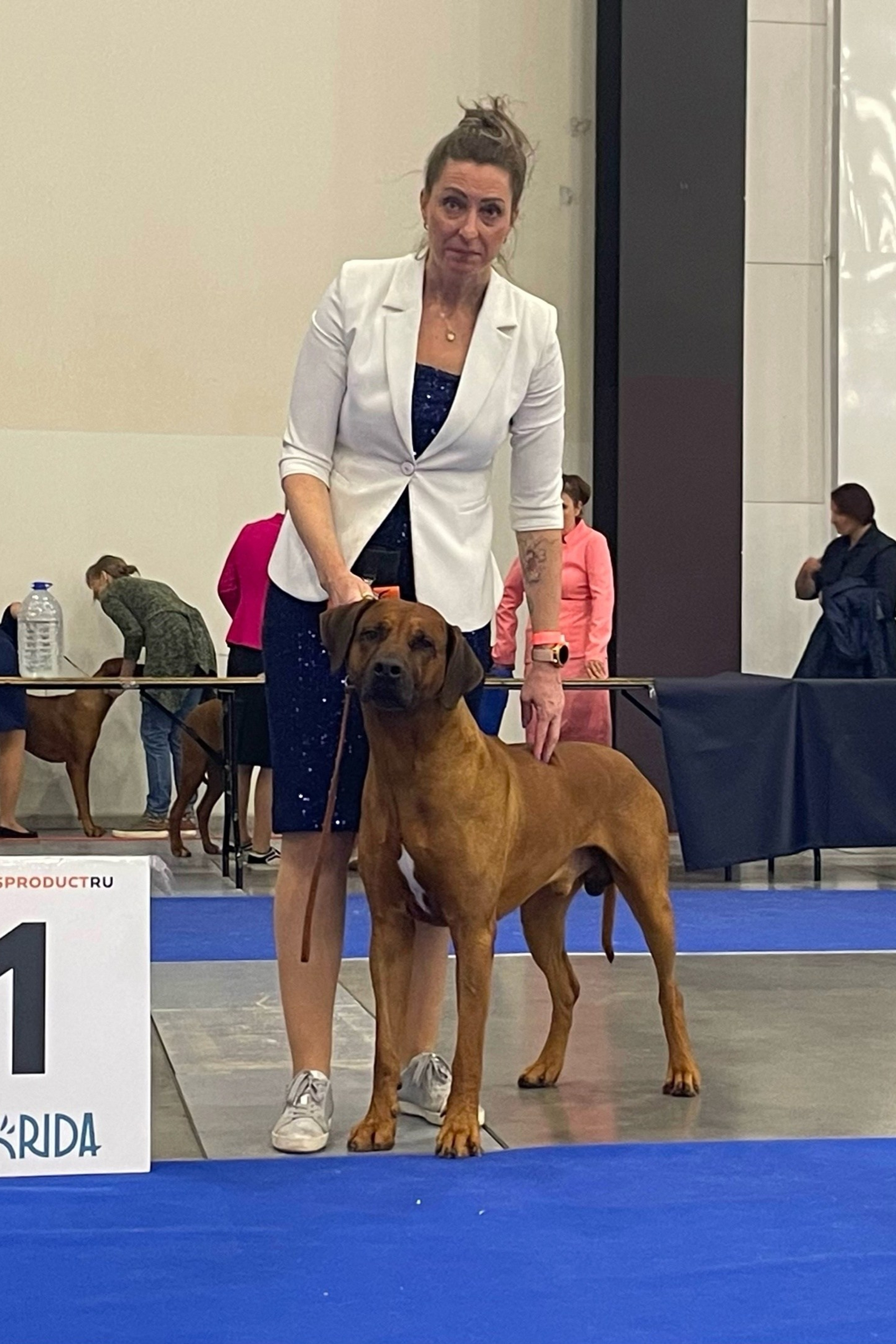 News. Родезийские Риджбеки в Санкт-Петербурге