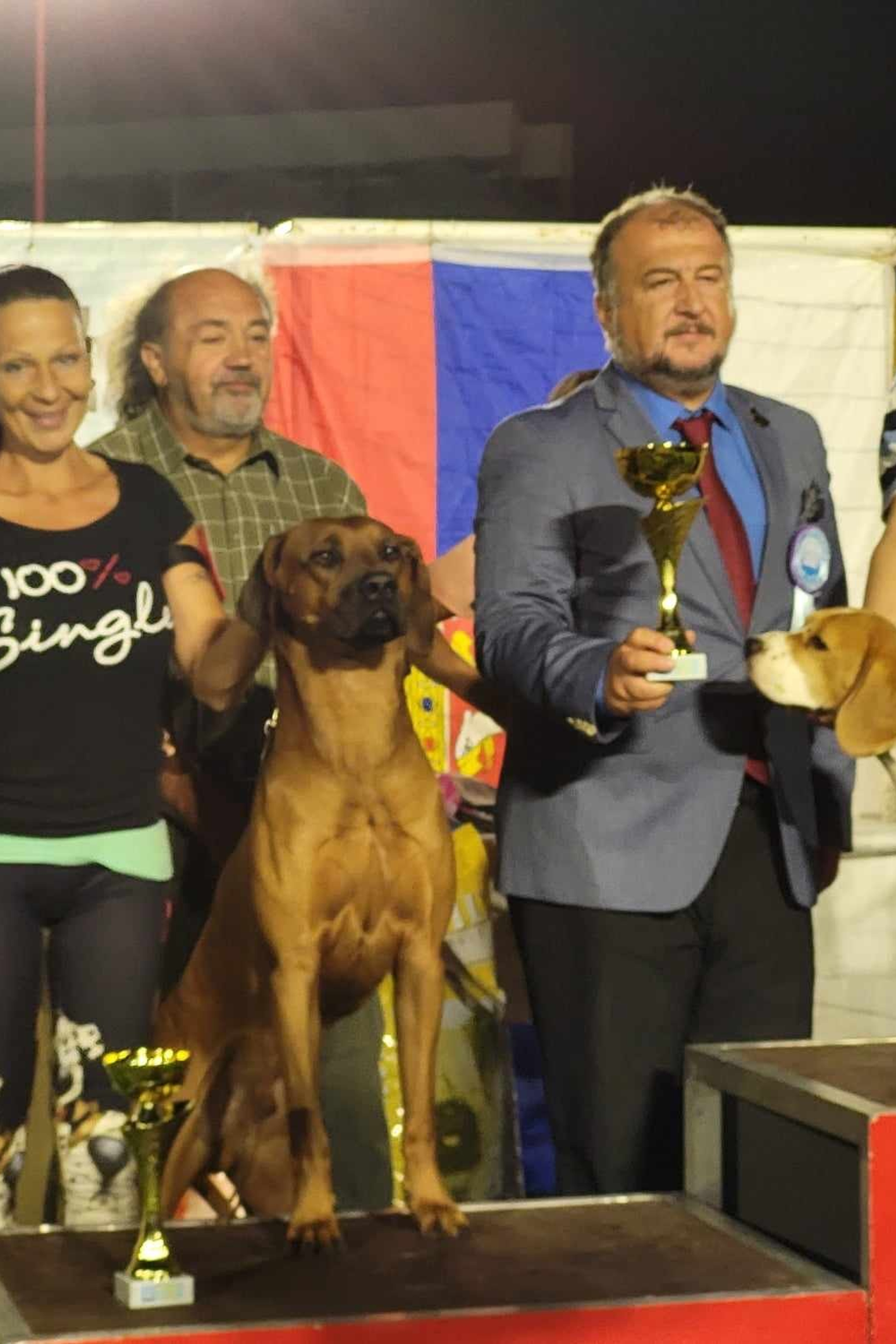 News. Родезийские Риджбеки в Санкт-Петербурге