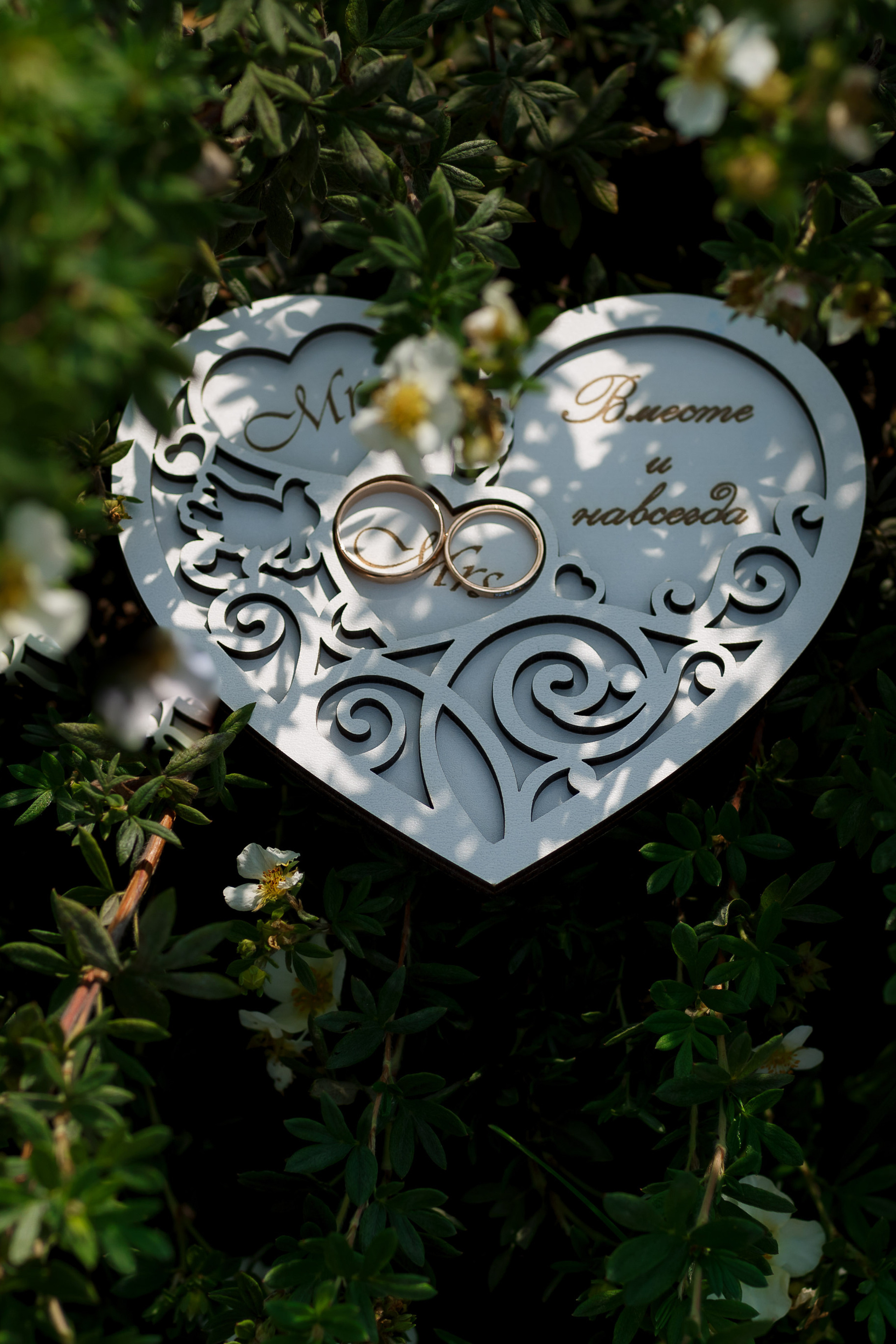 Анонсы. Ваш фотограф Любовь Чистякова