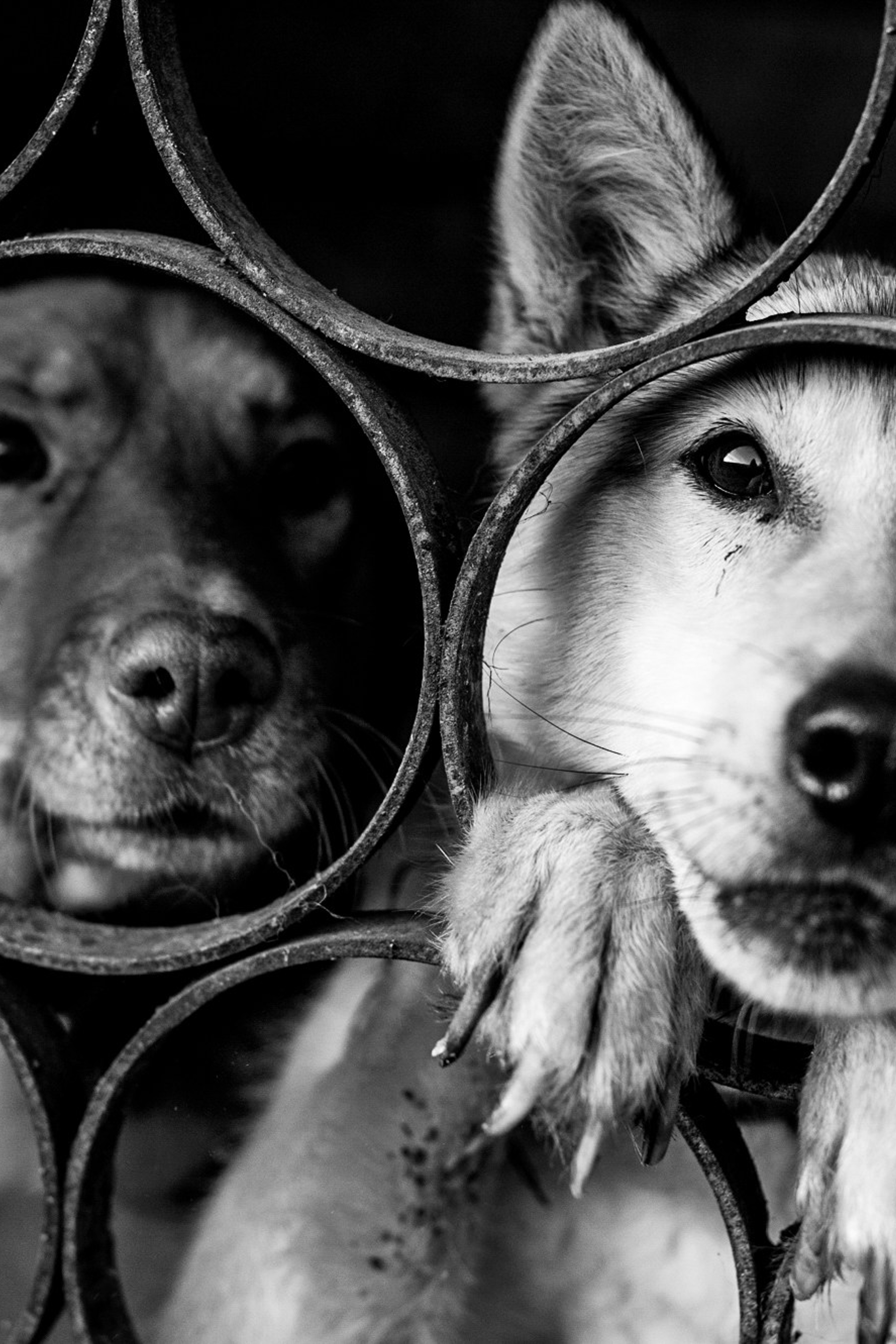 Благотворительные проекты. Портретный фотограф в г. Екатеринбурге Екатерина Новинская