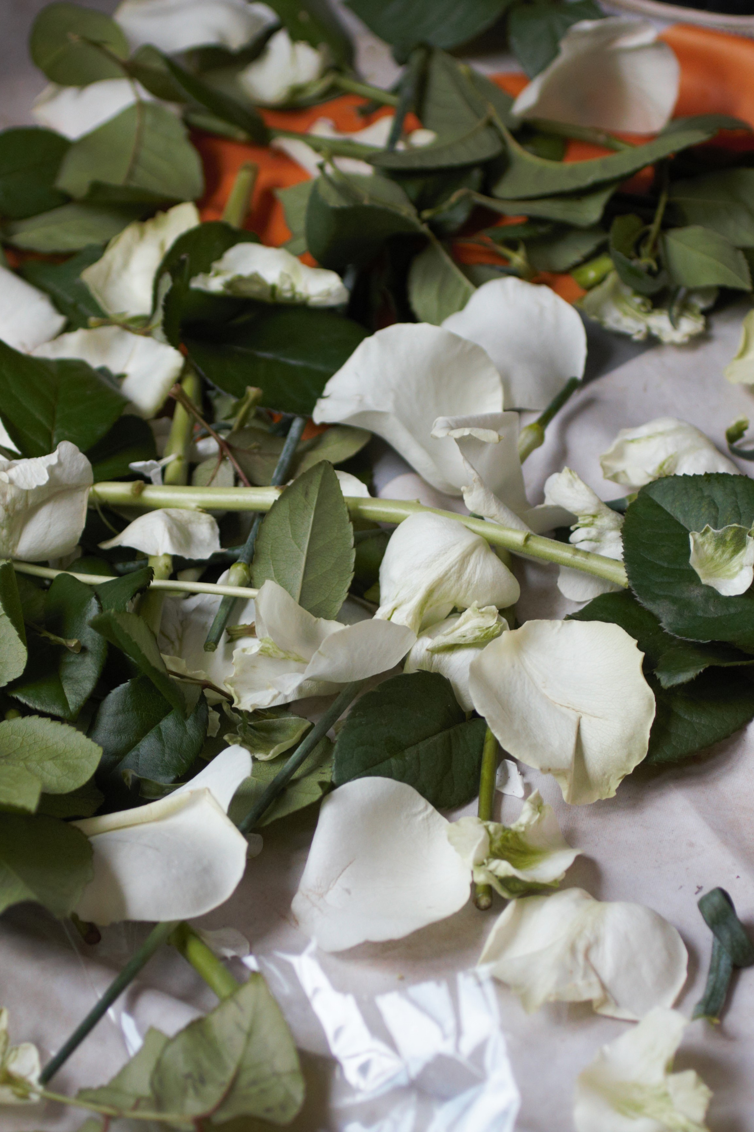 Как пережить 8 марта - совет мужчинам!. Флорист Маргарита Гладкова