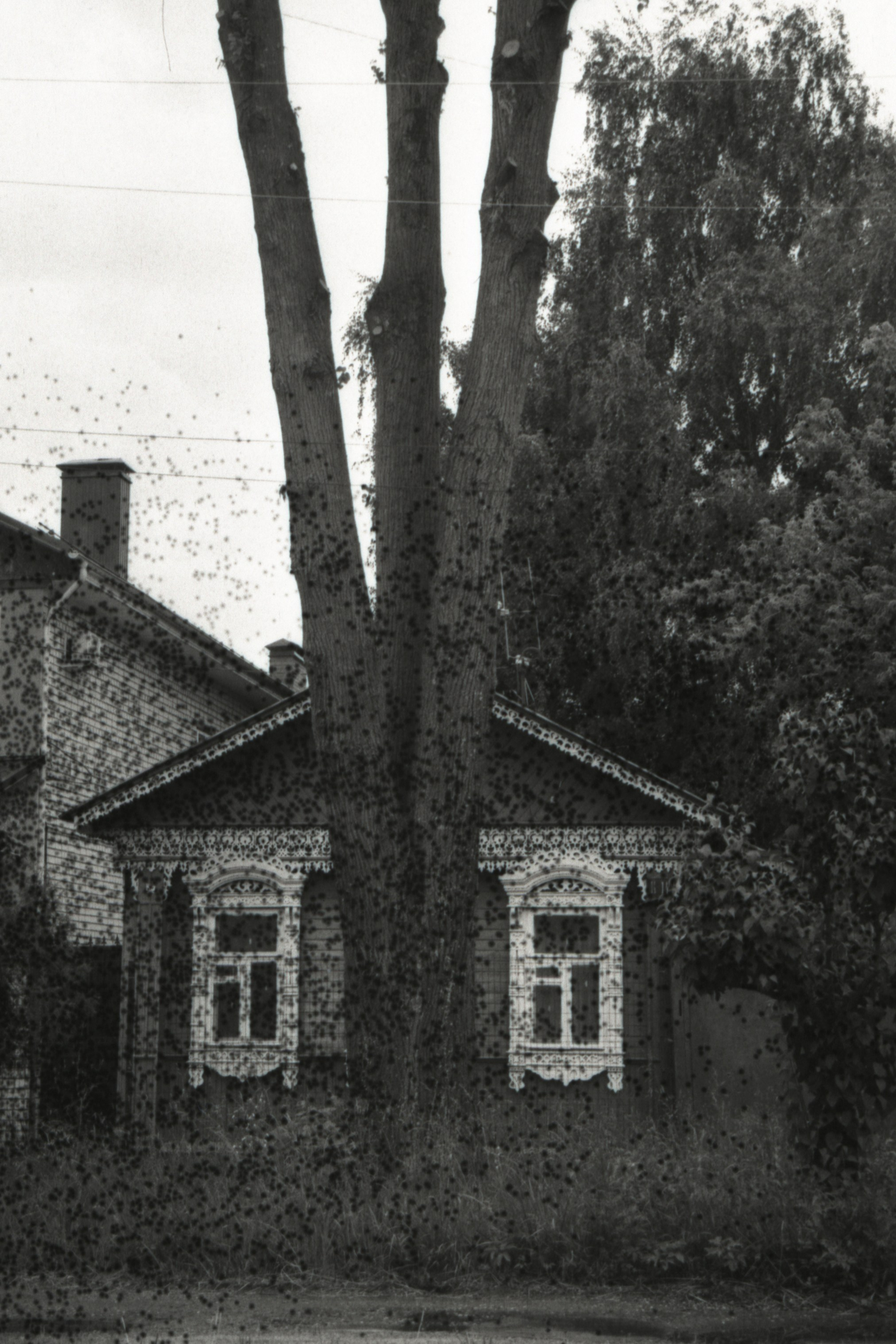 Малые серии. Татьяна Белякова — Фотохудожник | Концептуальная аналоговая фотография