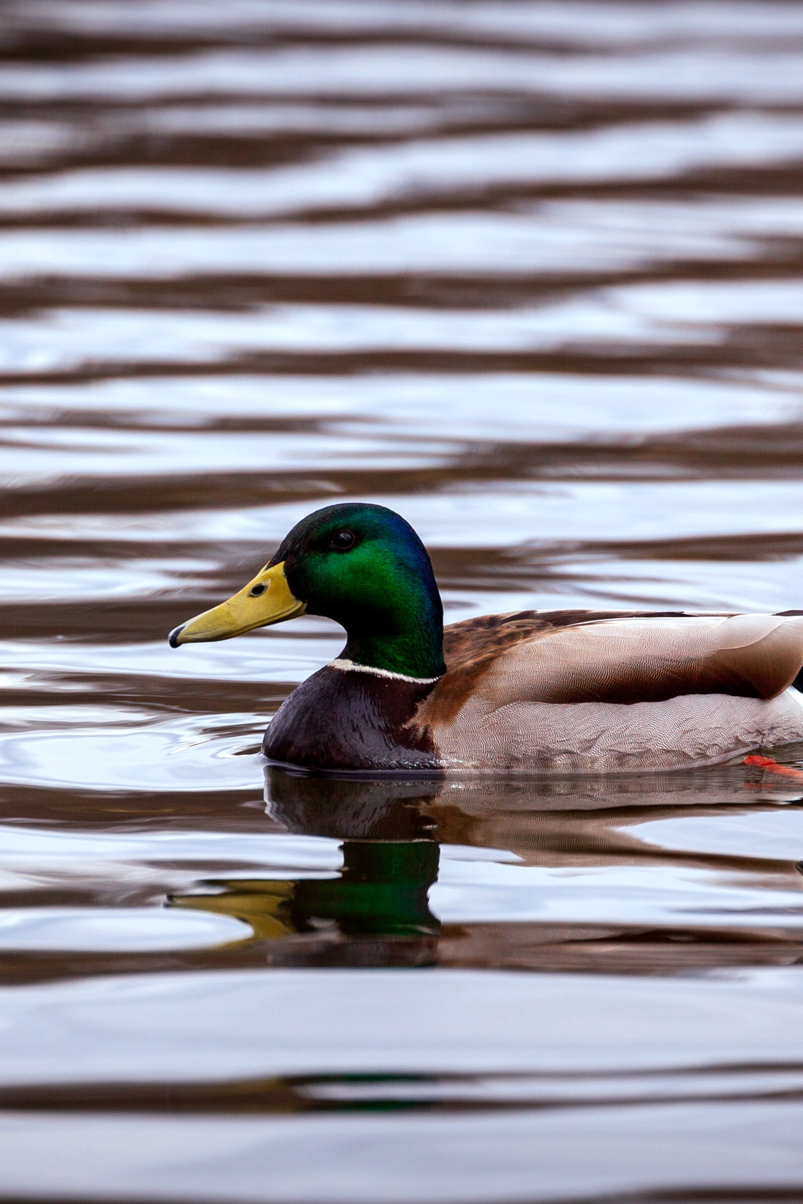 Блог. Фотохудожник Артём Парамонов