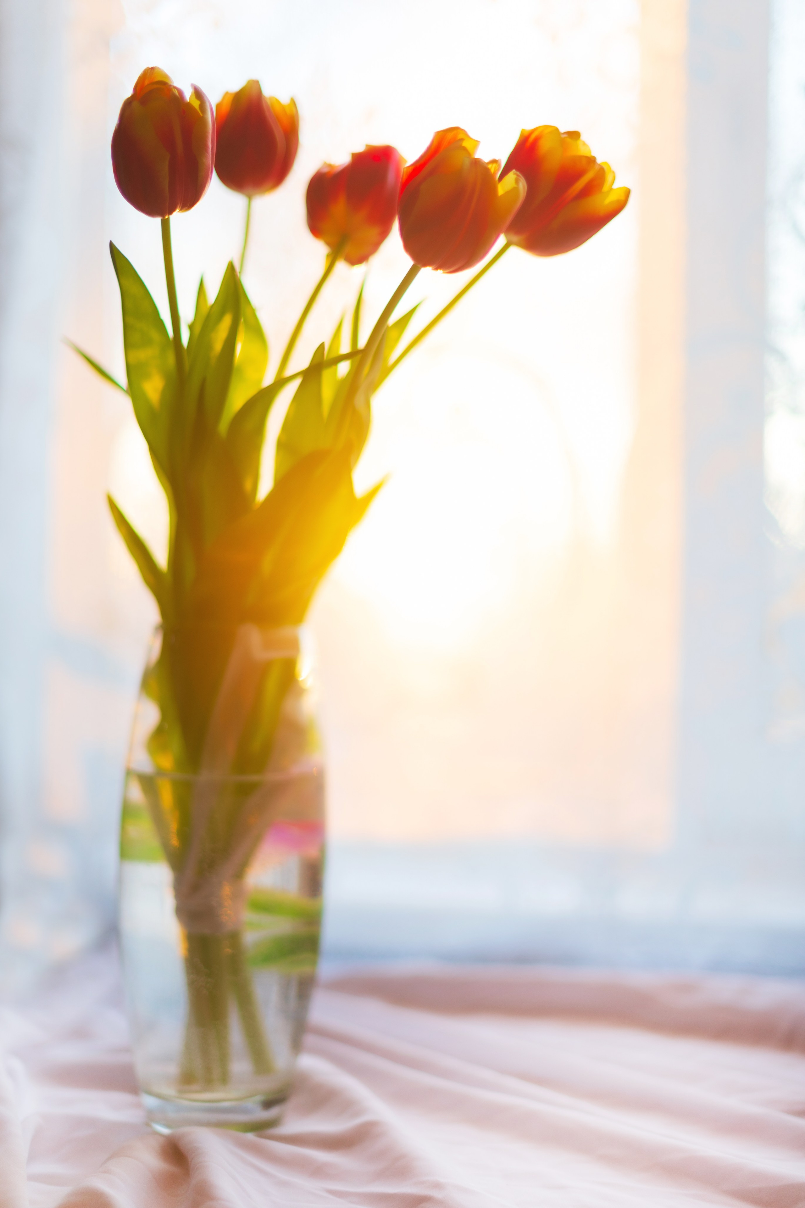 Блог. Фотохудожник Артём Парамонов