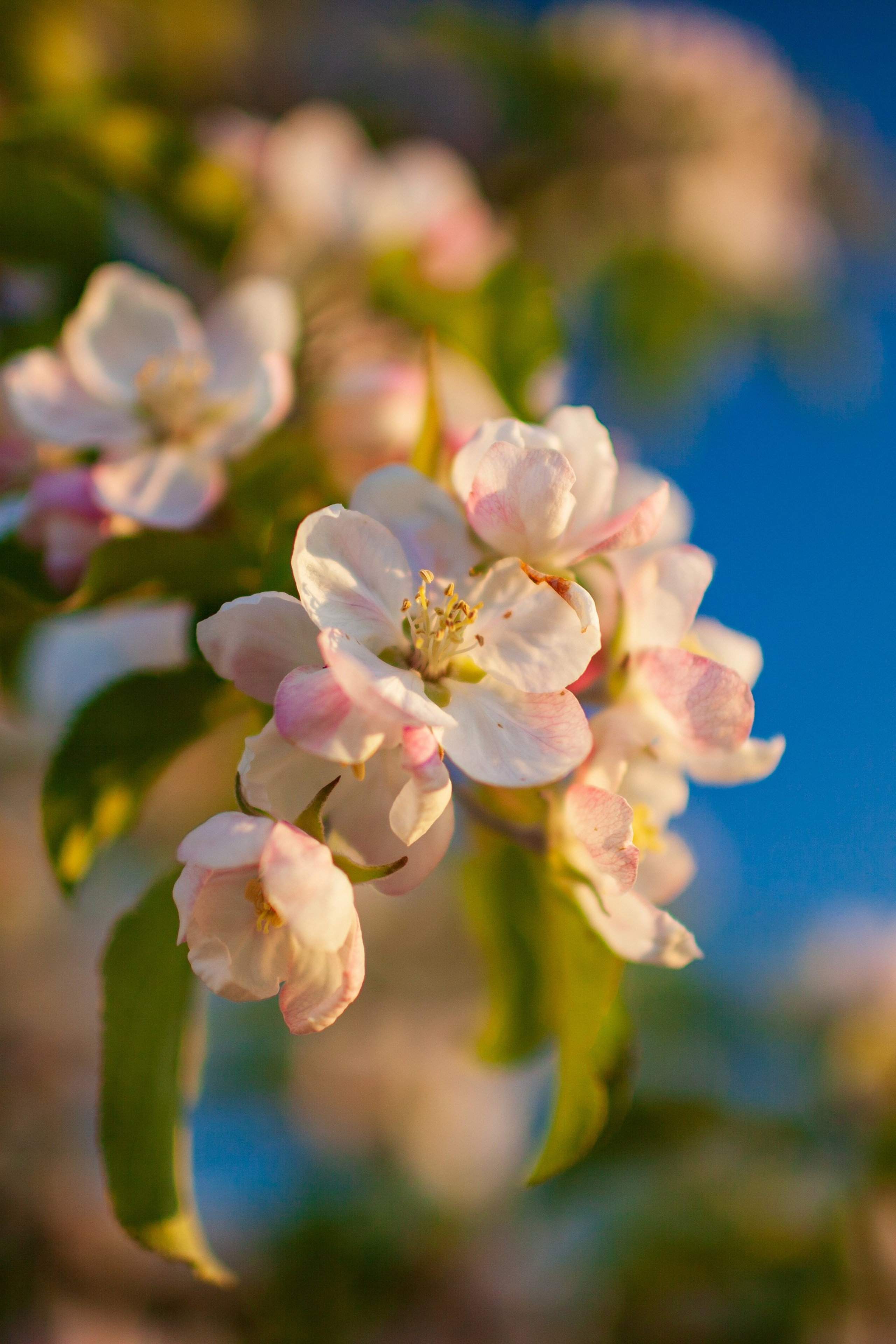 Блог. Фотохудожник Артём Парамонов