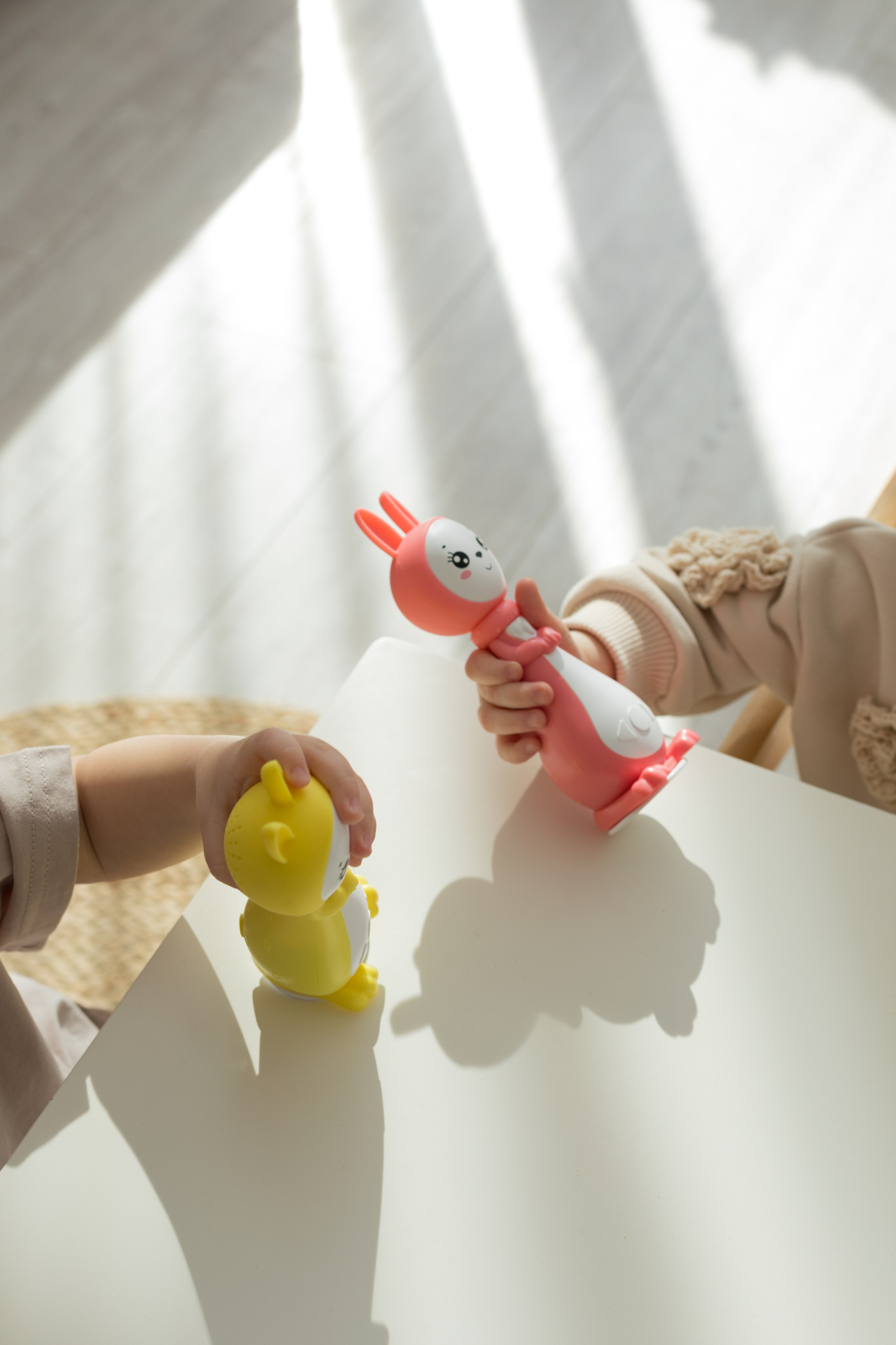 Съемка грызунков для berttoys