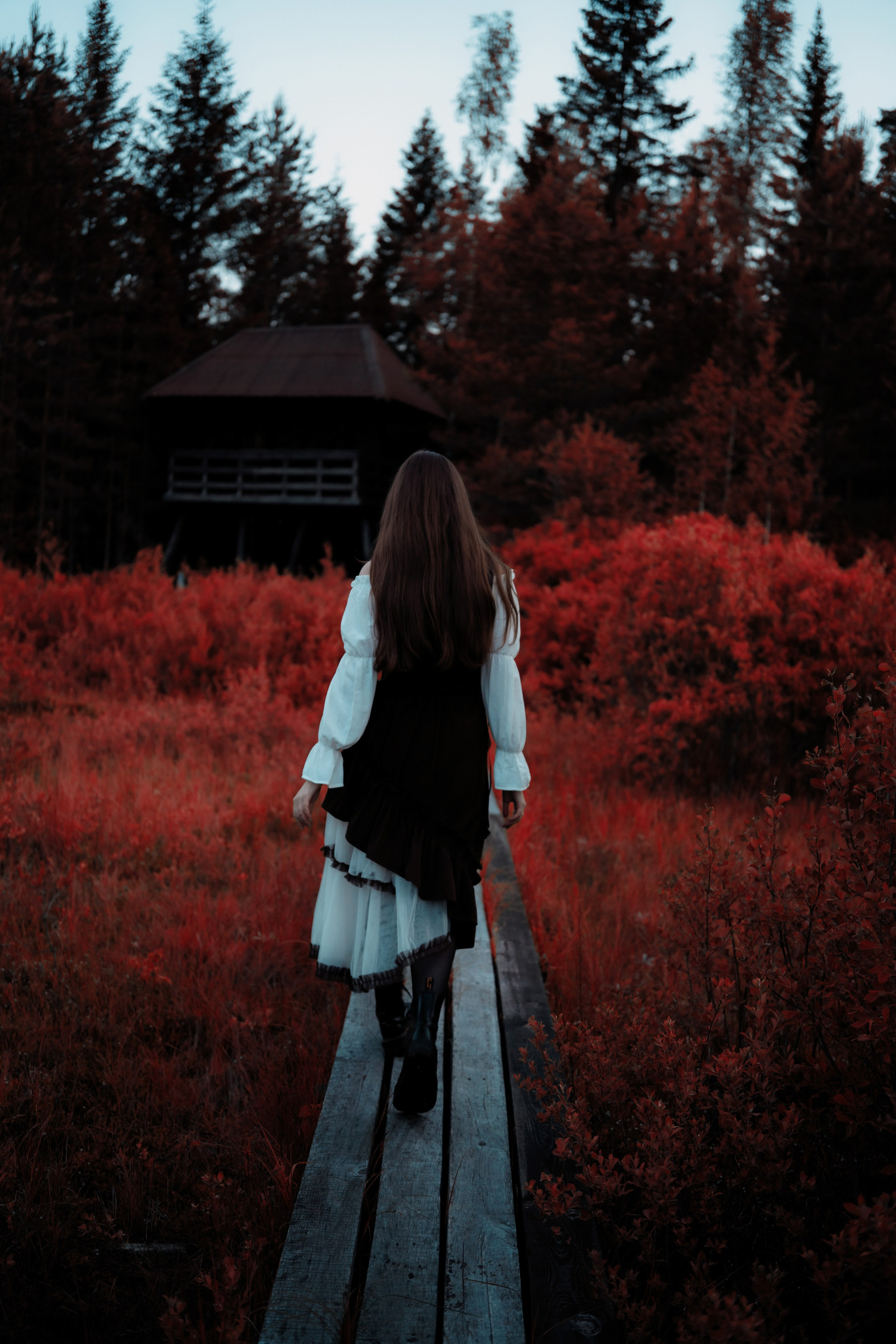 Индивидуальная съемка. Фотограф Vika Rin