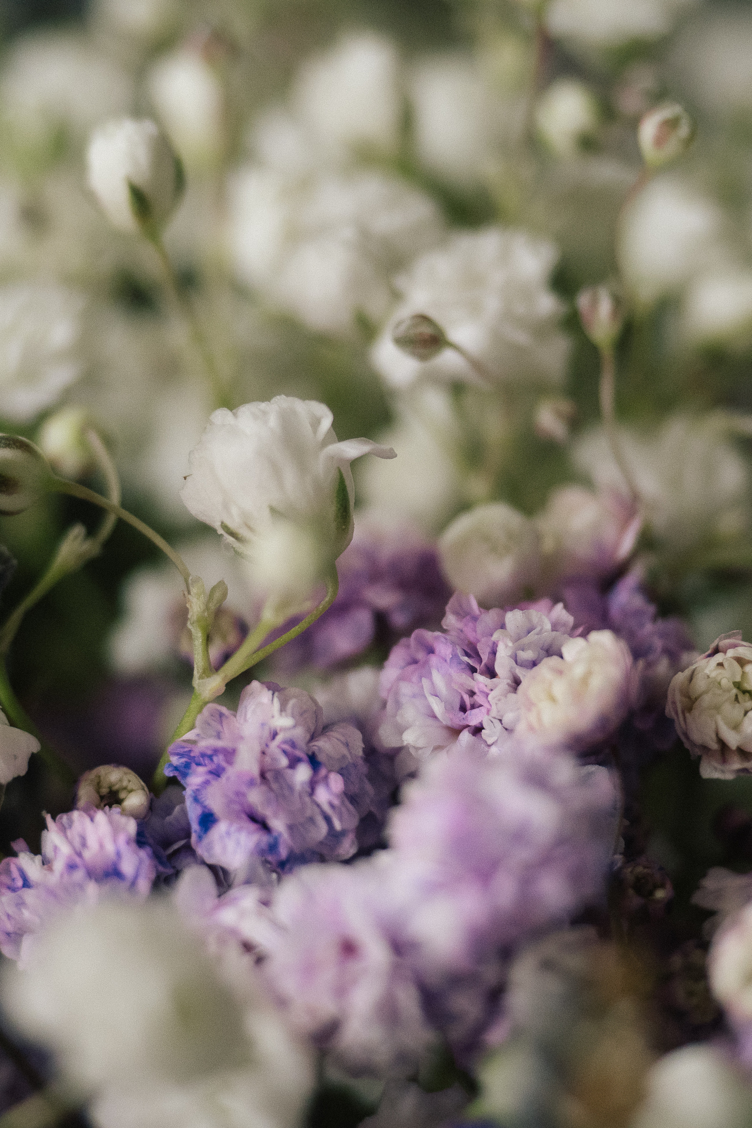 Блог. Алёна Орлова Портретный фотограф Москва